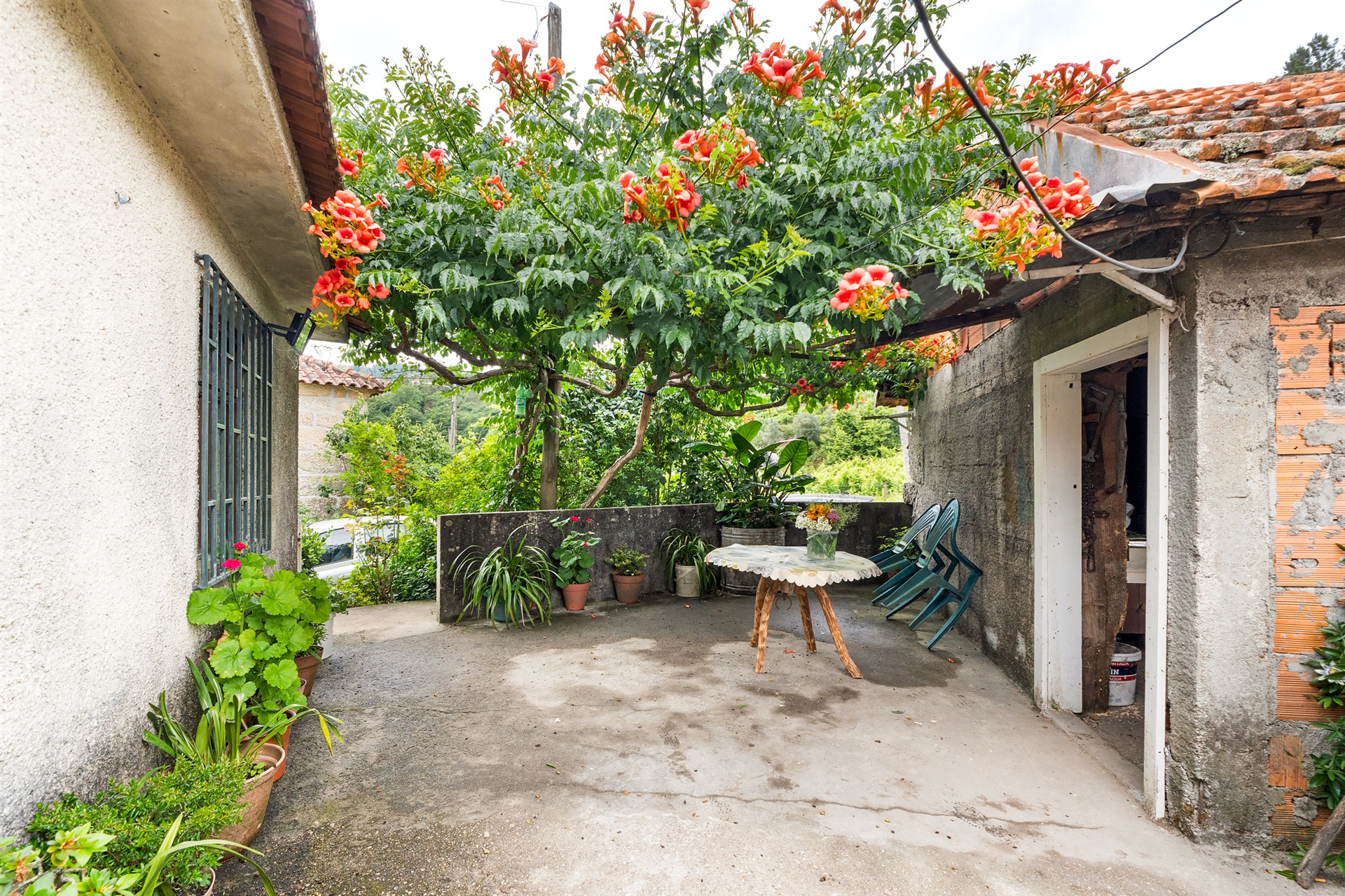  Farm, 3 bedrooms, for Sale - 物件實景