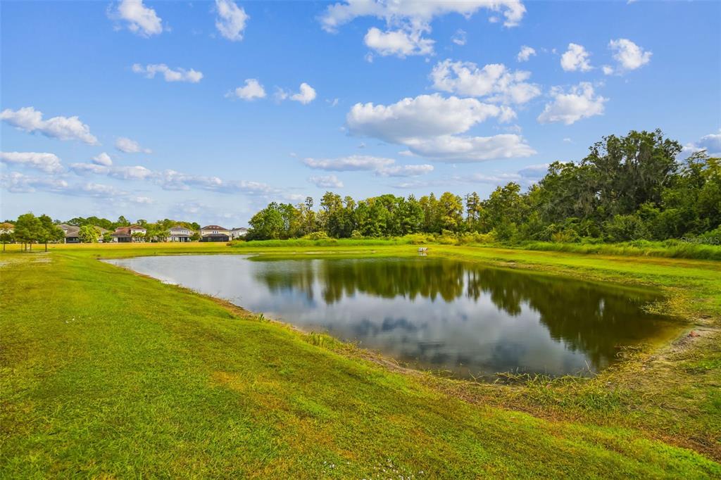 Odessa, Florida, 33556, United States, 4 Bedrooms Bedrooms, ,3 BathroomsBathrooms,Residential,For Sale,1982031