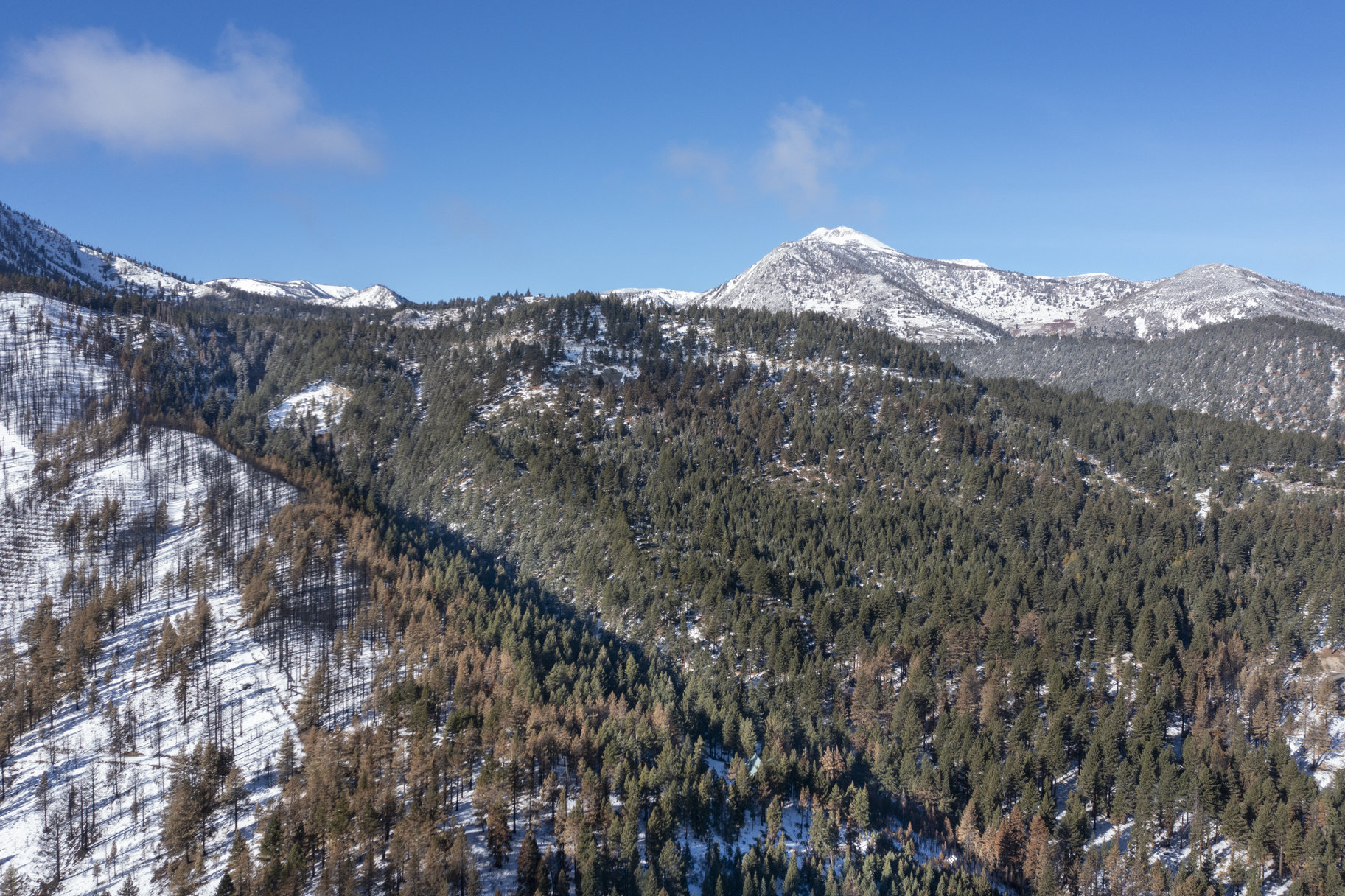  Sierra Sanctuary Lodge on 40 Acres - 物件實景