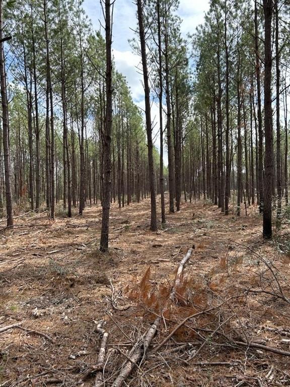 Huntington, Texas, 75949, United States, ,Land,For Sale,1784862