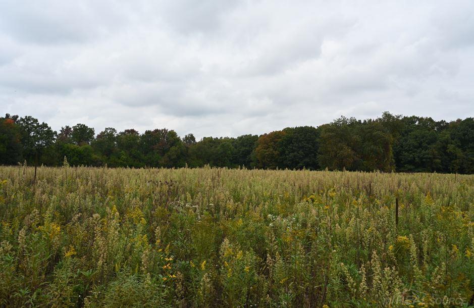 Morrice, Michigan, 48857, United States, ,Residential,For Sale,1942639