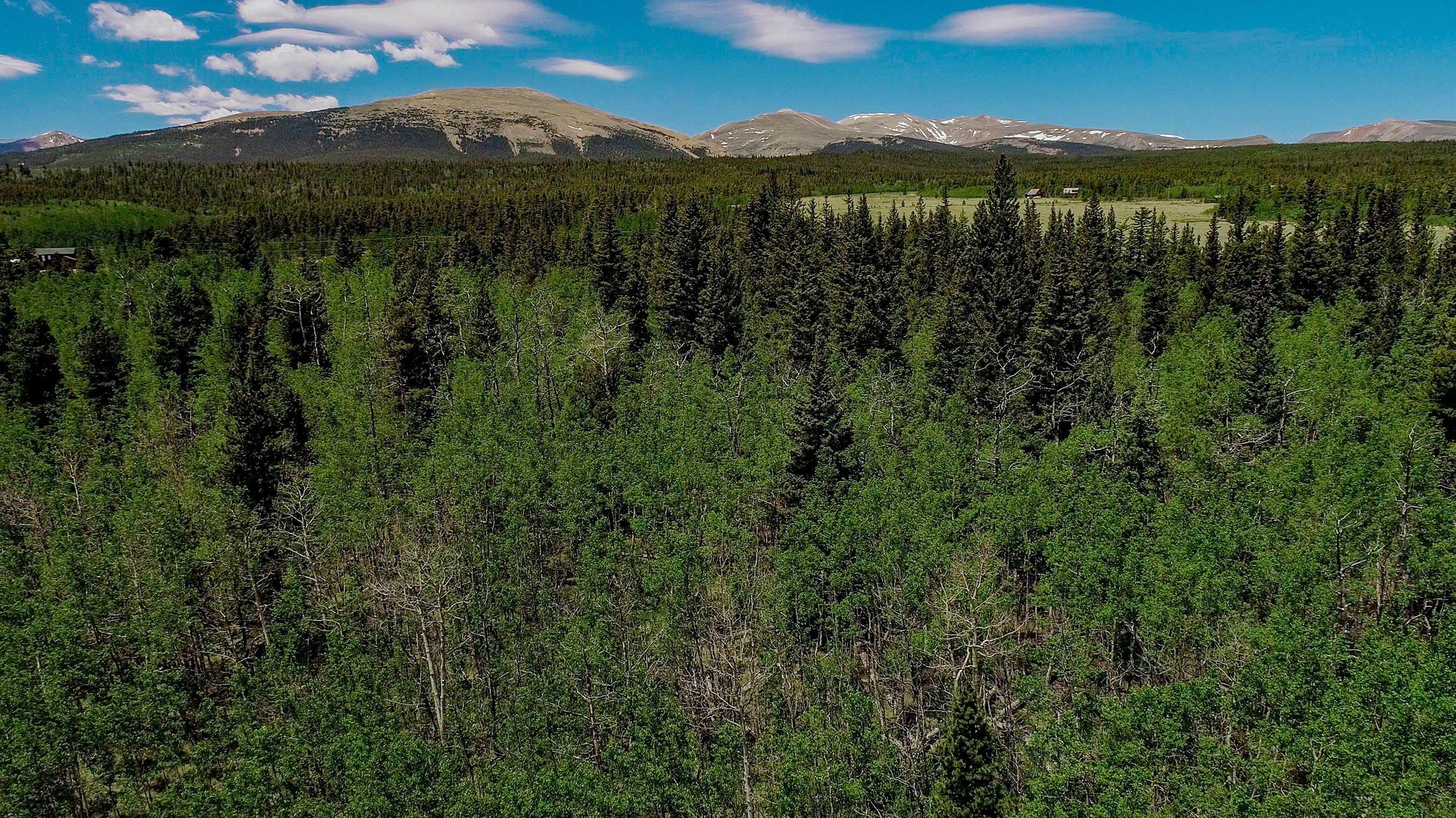  515 Wild Rye Road, Fairplay, CO, 80440 - 物件實景