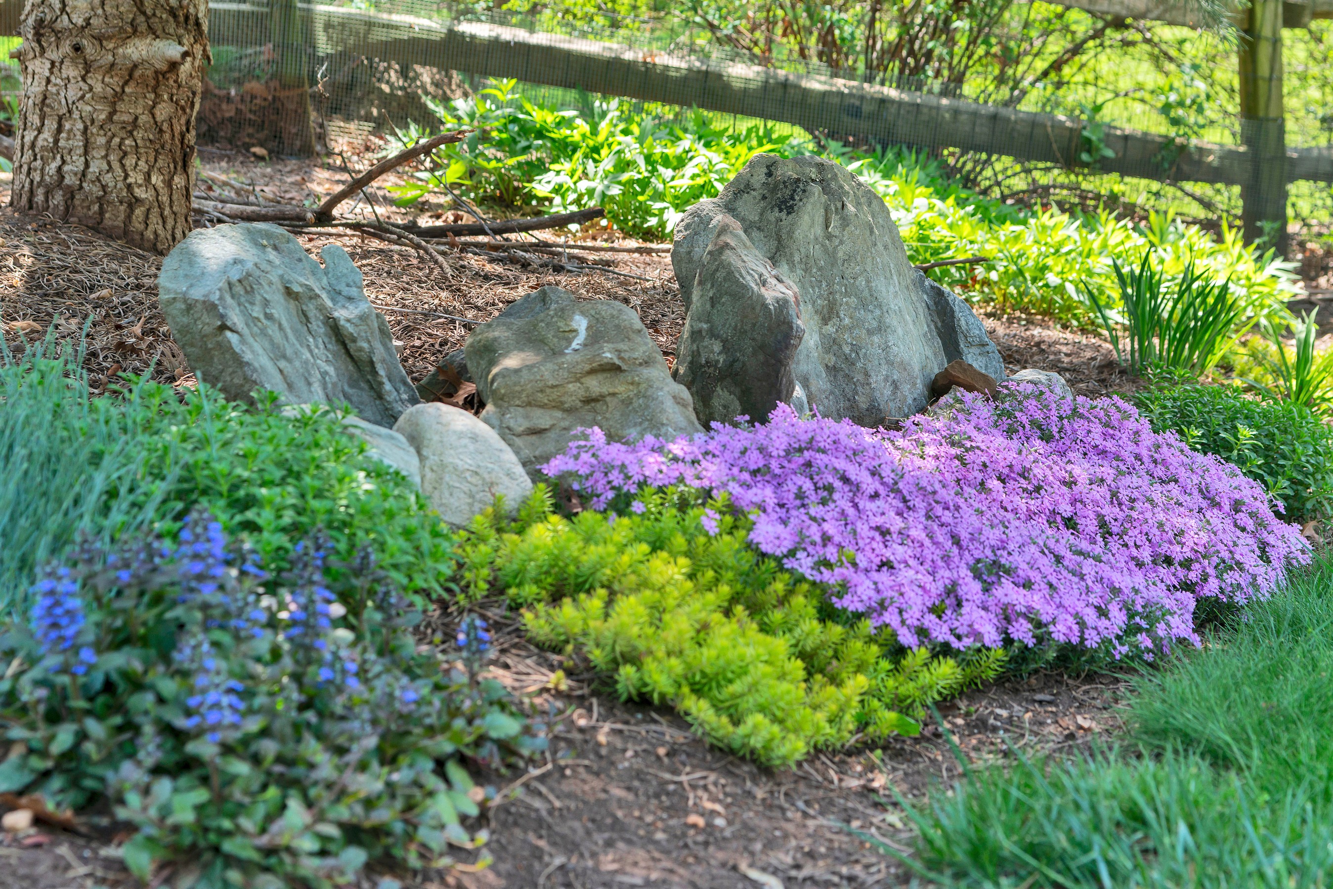  DEARBOUGHT - 物件實景