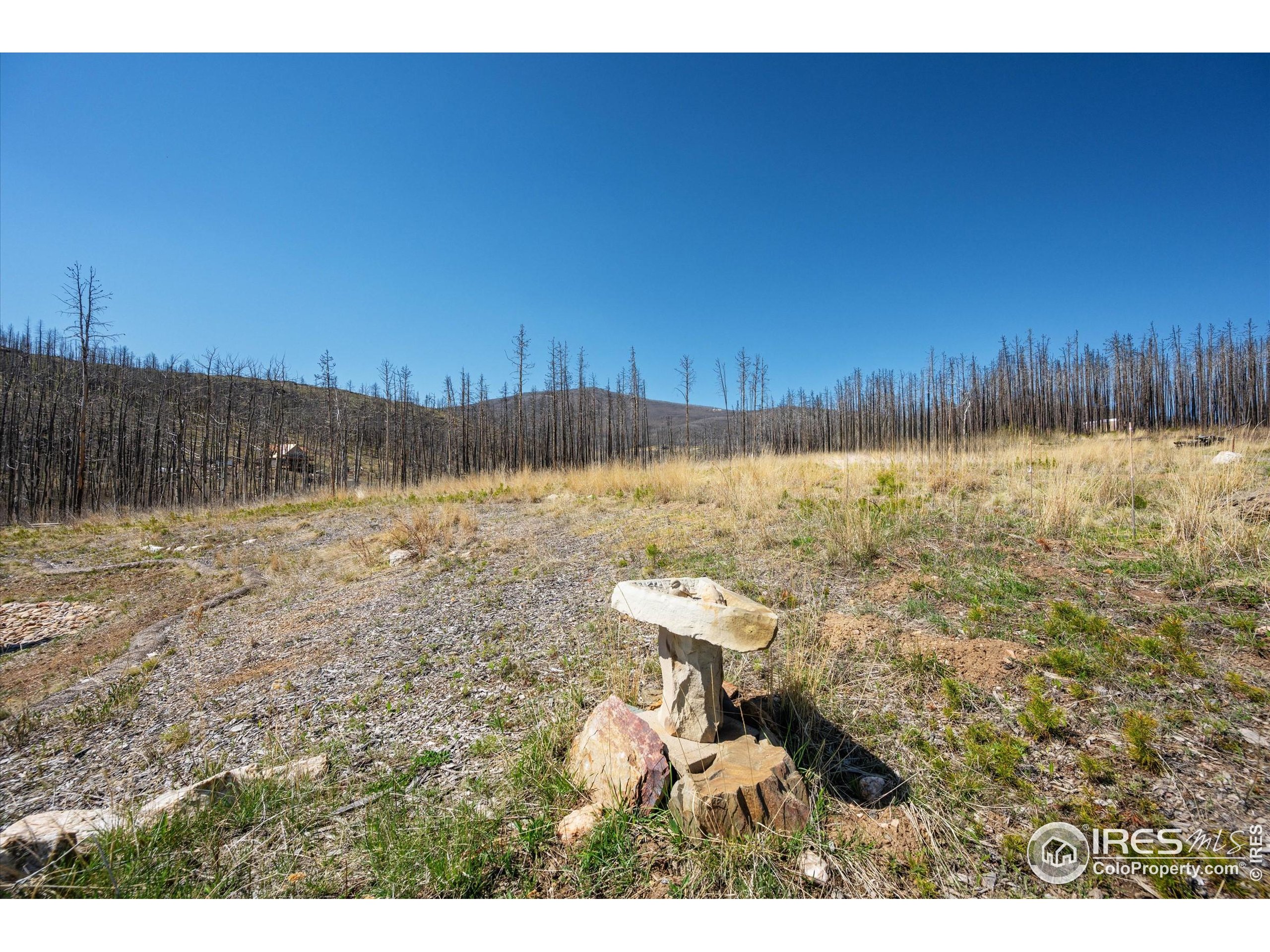 Bellvue, Colorado, 80512, United States, 1 Bedroom Bedrooms, ,Residential,For Sale,1826426