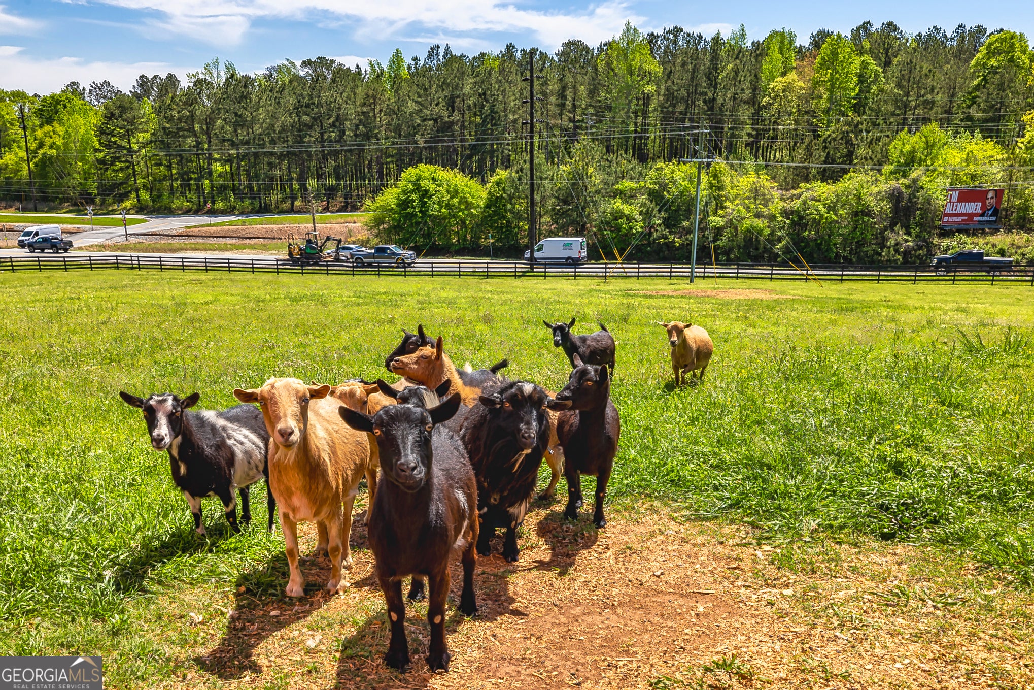 Newnan, Georgia, 30263, United States, 4 Bedrooms Bedrooms, ,3 BathroomsBathrooms,Residential,For Sale,1978866