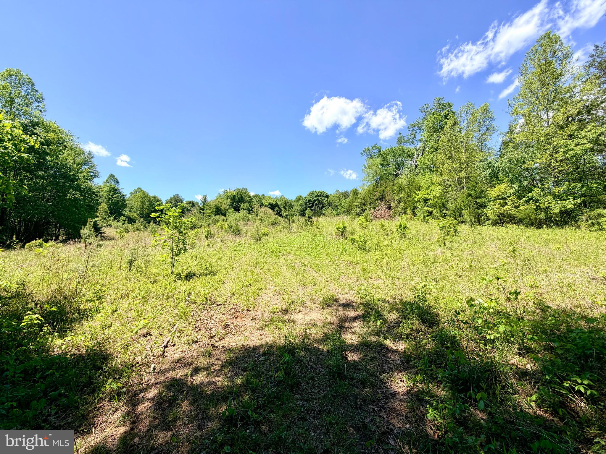 Unionville, Virginia, 22567, United States, 3 Bedrooms Bedrooms, ,3 BathroomsBathrooms,Residential,For Sale,2045278