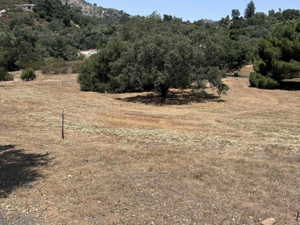 0 Jesmond Dene Road, Escondido, California, 92026, United States, ,Land,For Sale,0 Jesmond Dene Road,1617081