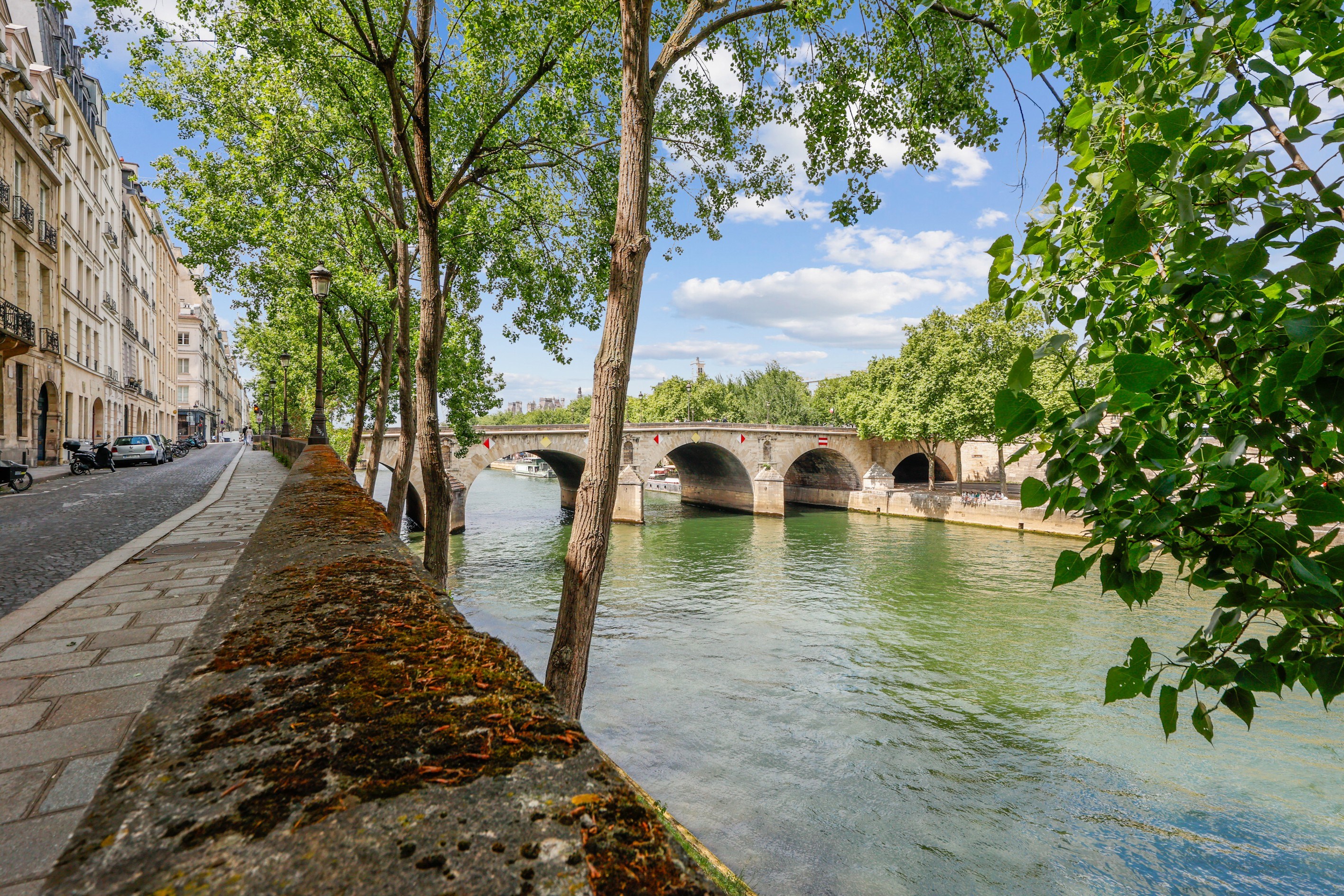  Three-bedroom apartment on Ile Saint-Louis - 物件實景
