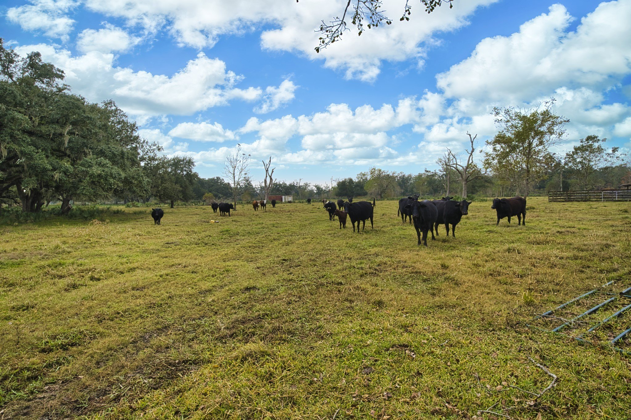 Brazoria, Texas, 77422, United States, 6 Bedrooms Bedrooms, ,6 BathroomsBathrooms,Residential,For Sale,1978625