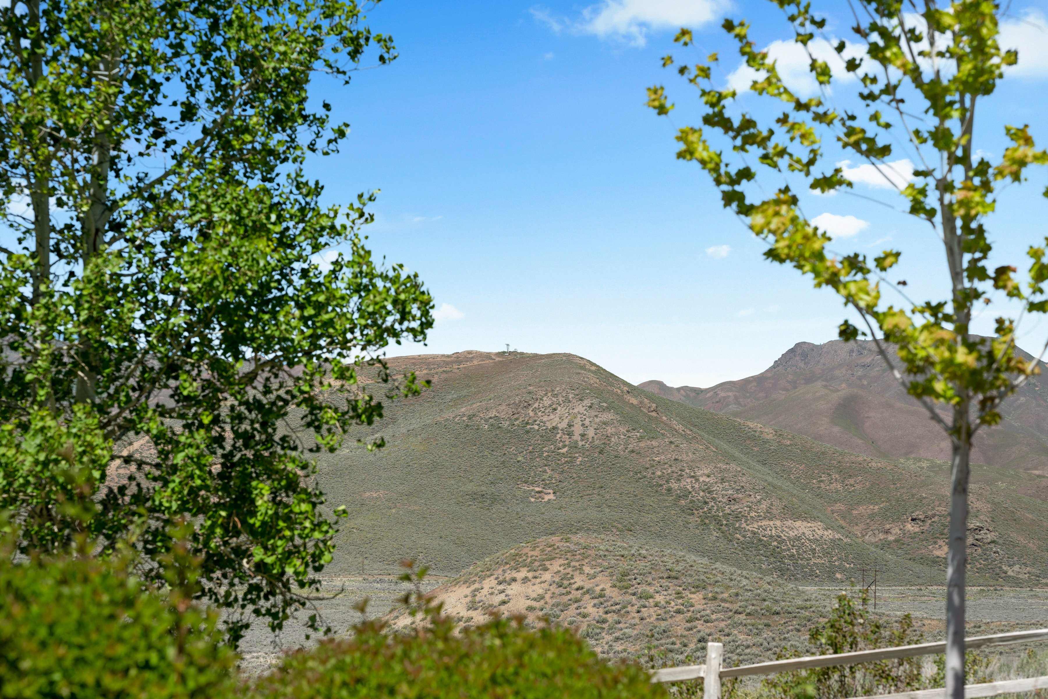  Canyon View Home on 5+ Acres with Pickleball Court - 物件實景