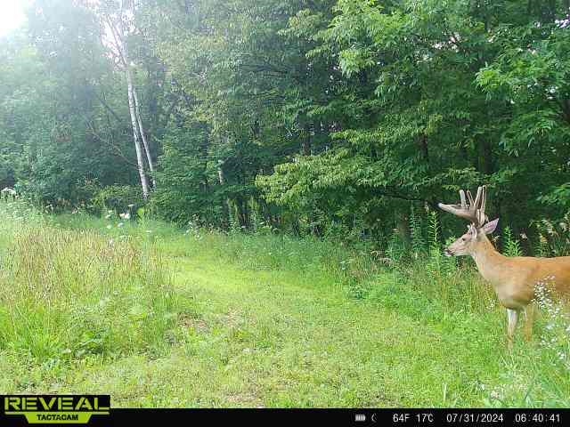 Gays Mills, Wisconsin, 54631, United States, ,Residential,For Sale,1928729