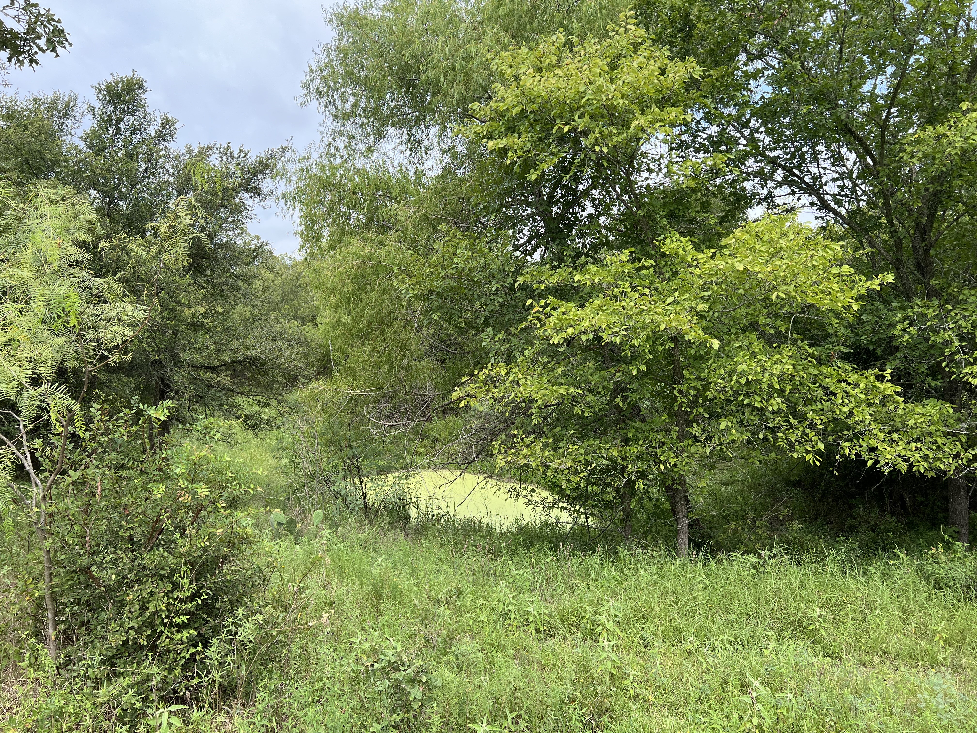 Cedar Creek, Texas, 78612, United States, 4 Bedrooms Bedrooms, ,3 BathroomsBathrooms,Residential,For Sale,1933208