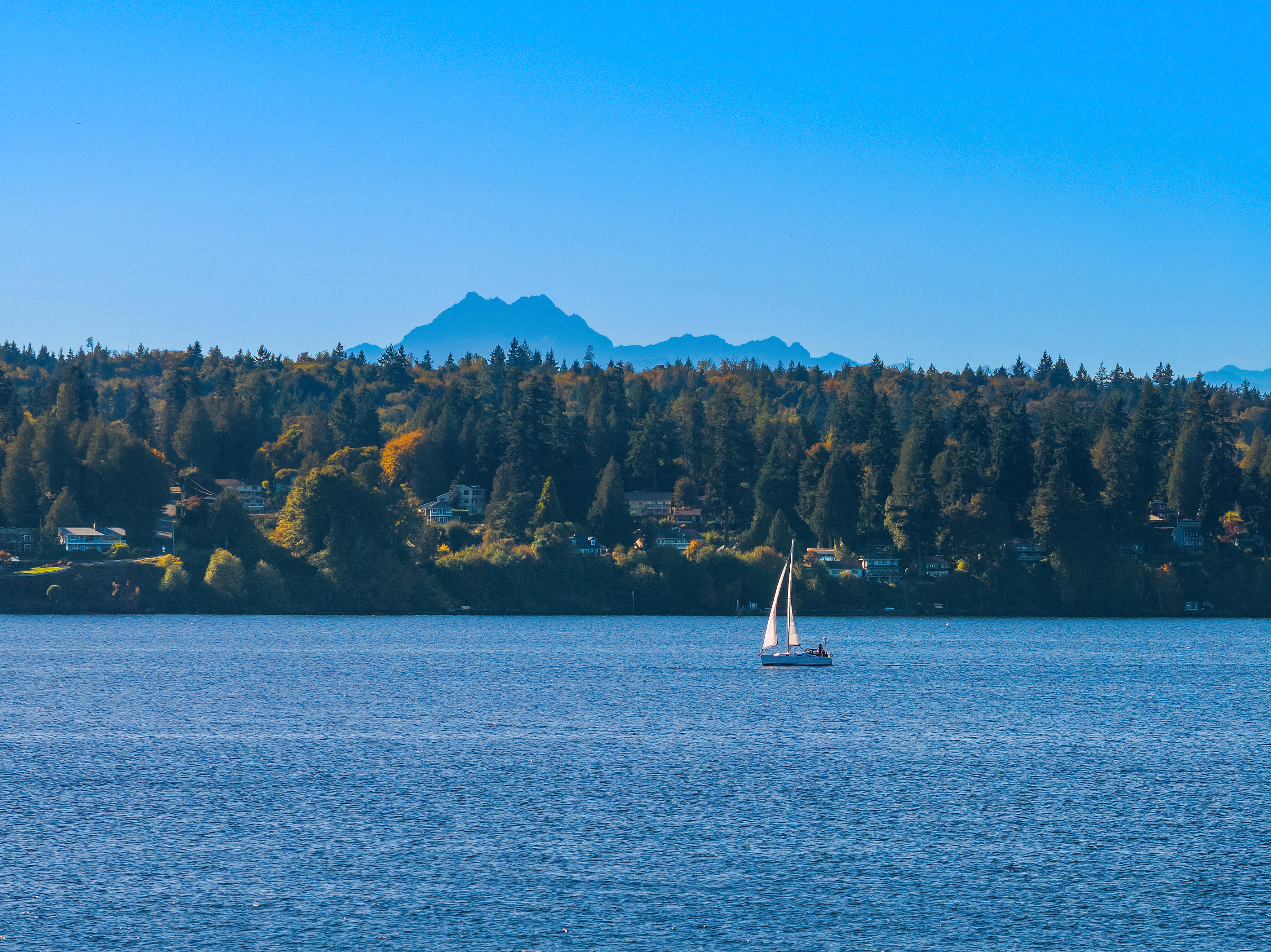  8405 Hansen Road Northeast, Bainbridge Island, WA 98110 - 物件實景
