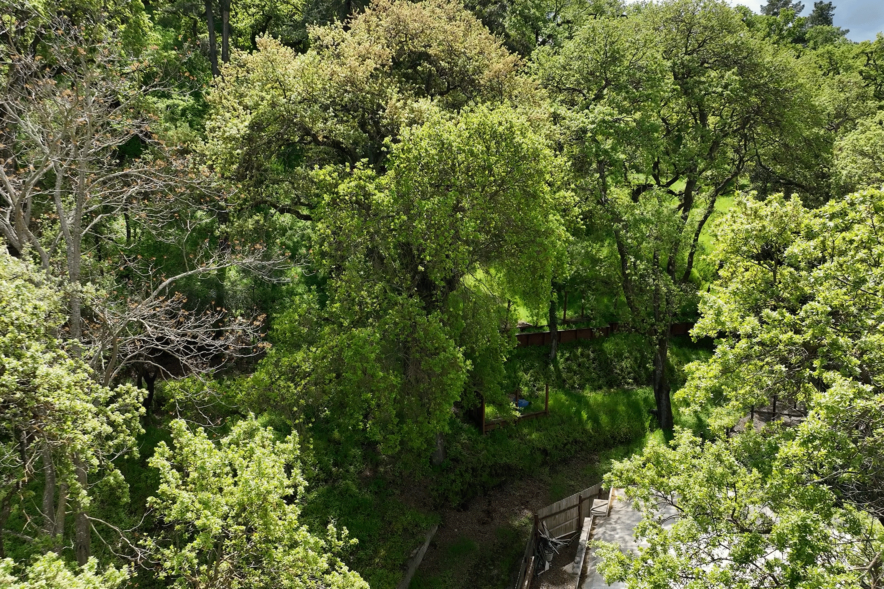  Build Your Dream Home on Nearly an Acre with Sweeping Walnut Creek Views - 物件實景