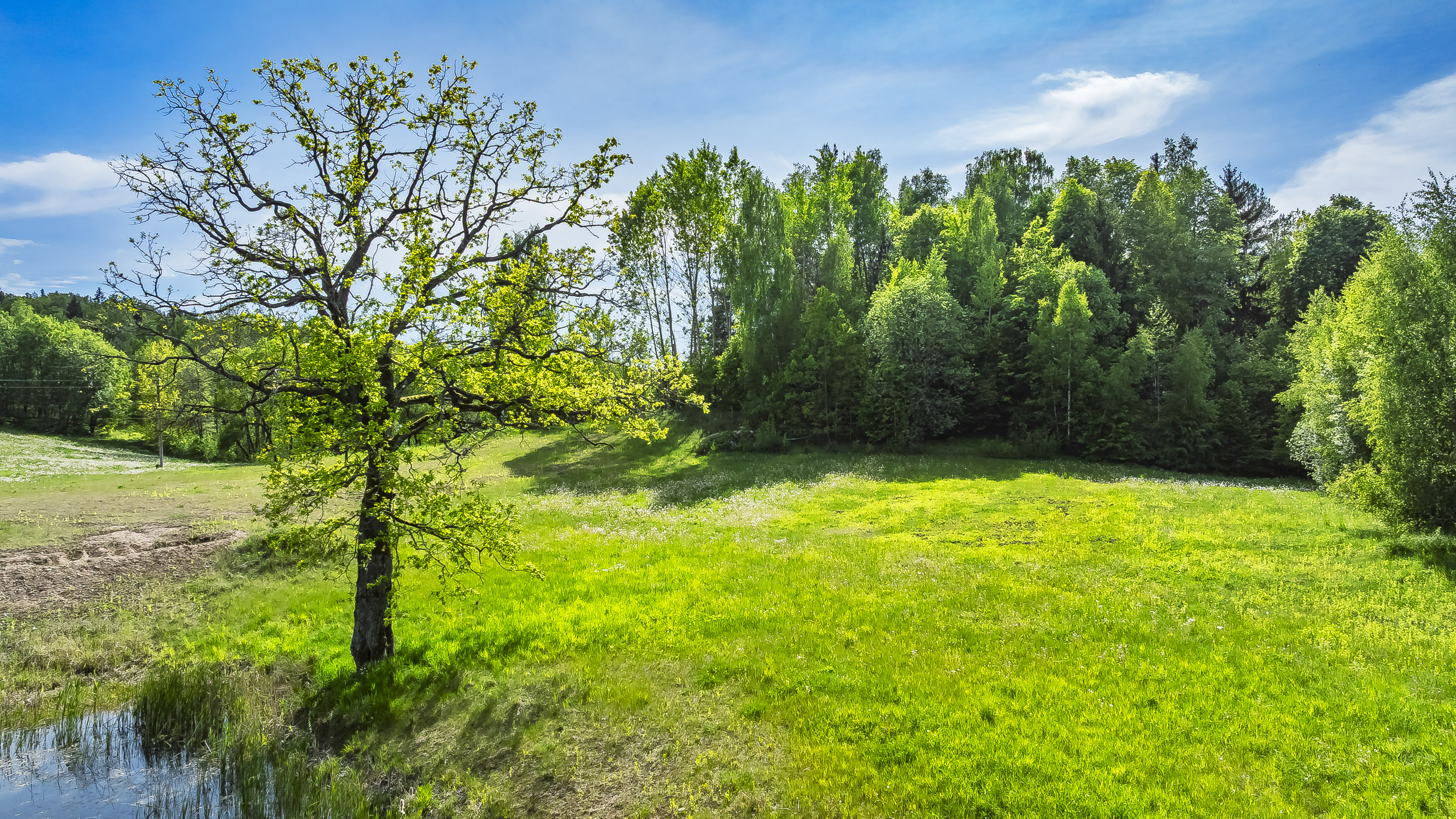  Spacious land plot in a picturesque location by the lake - 物件實景