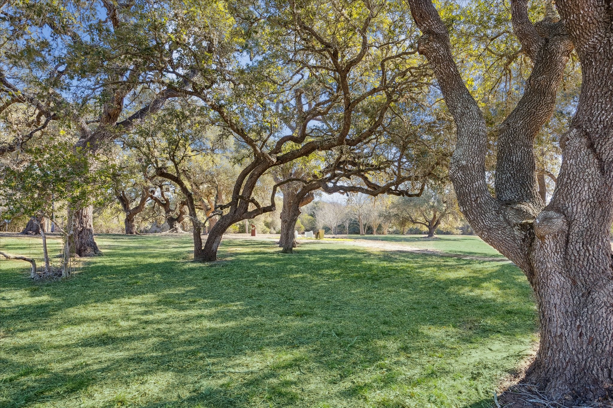  509 N Live Oak Street - 物件實景