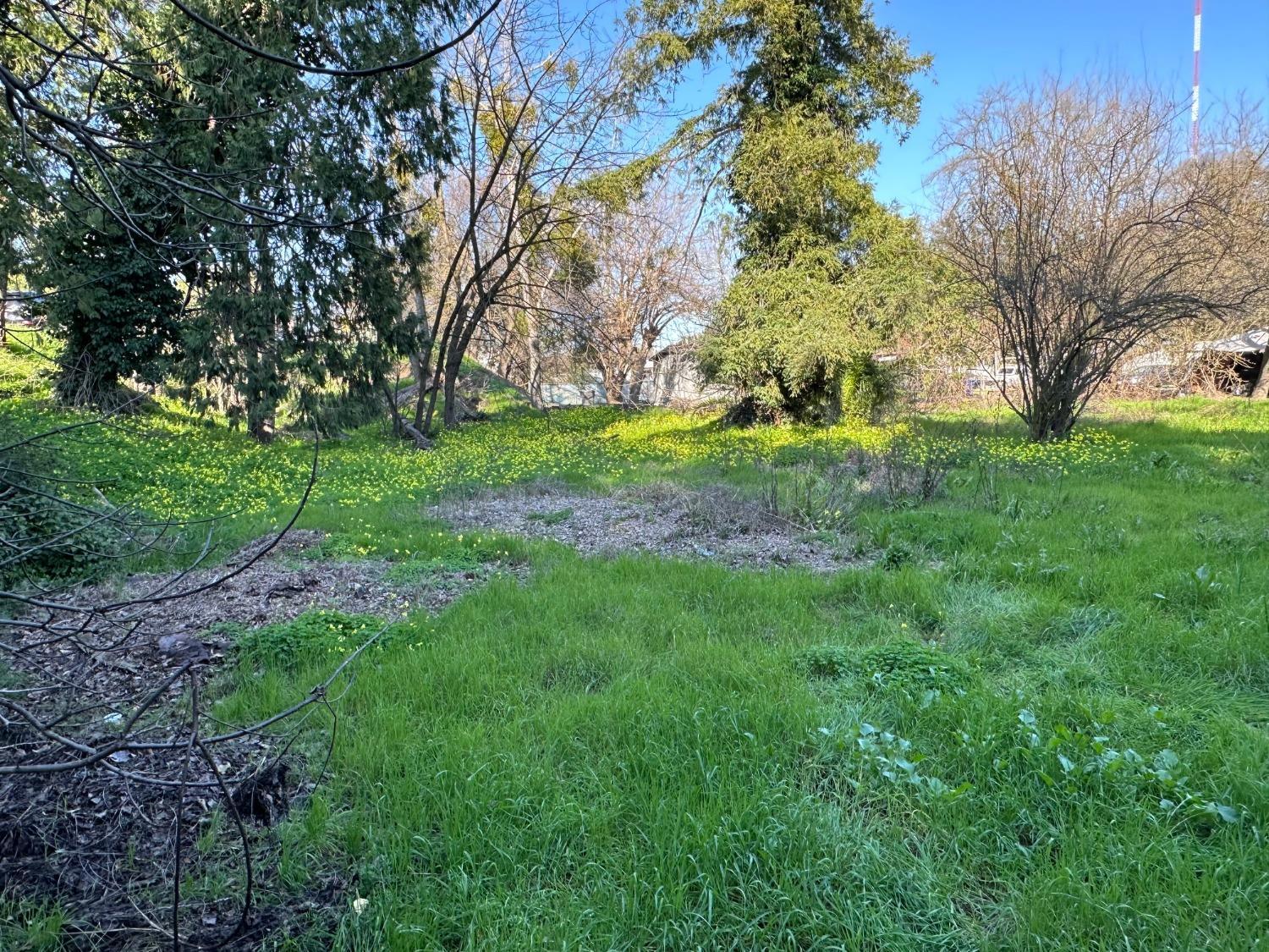 Walnut Grove, California, 95690, United States, 6 Bedrooms Bedrooms, ,4 BathroomsBathrooms,Residential,For Sale,2008796