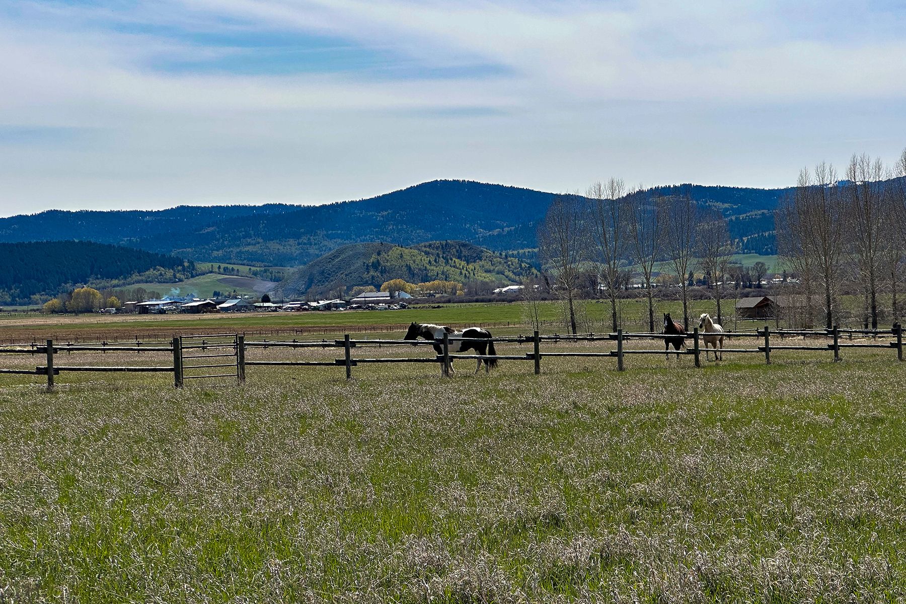  Private Salt River Access - 物件實景
