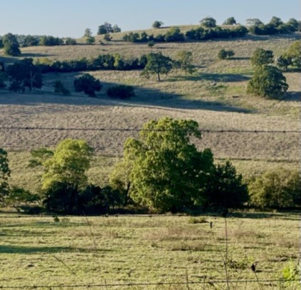 Berryville, Arkansas, 72616, United States, 6 Bedrooms Bedrooms, ,4 BathroomsBathrooms,Residential,For Sale,1988341