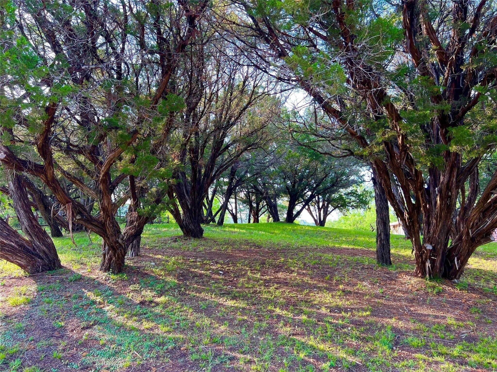 Possum Kingdom Lake, Texas, 76450, United States, 2 Bedrooms Bedrooms, ,1 BathroomBathrooms,Residential,For Sale,1979267