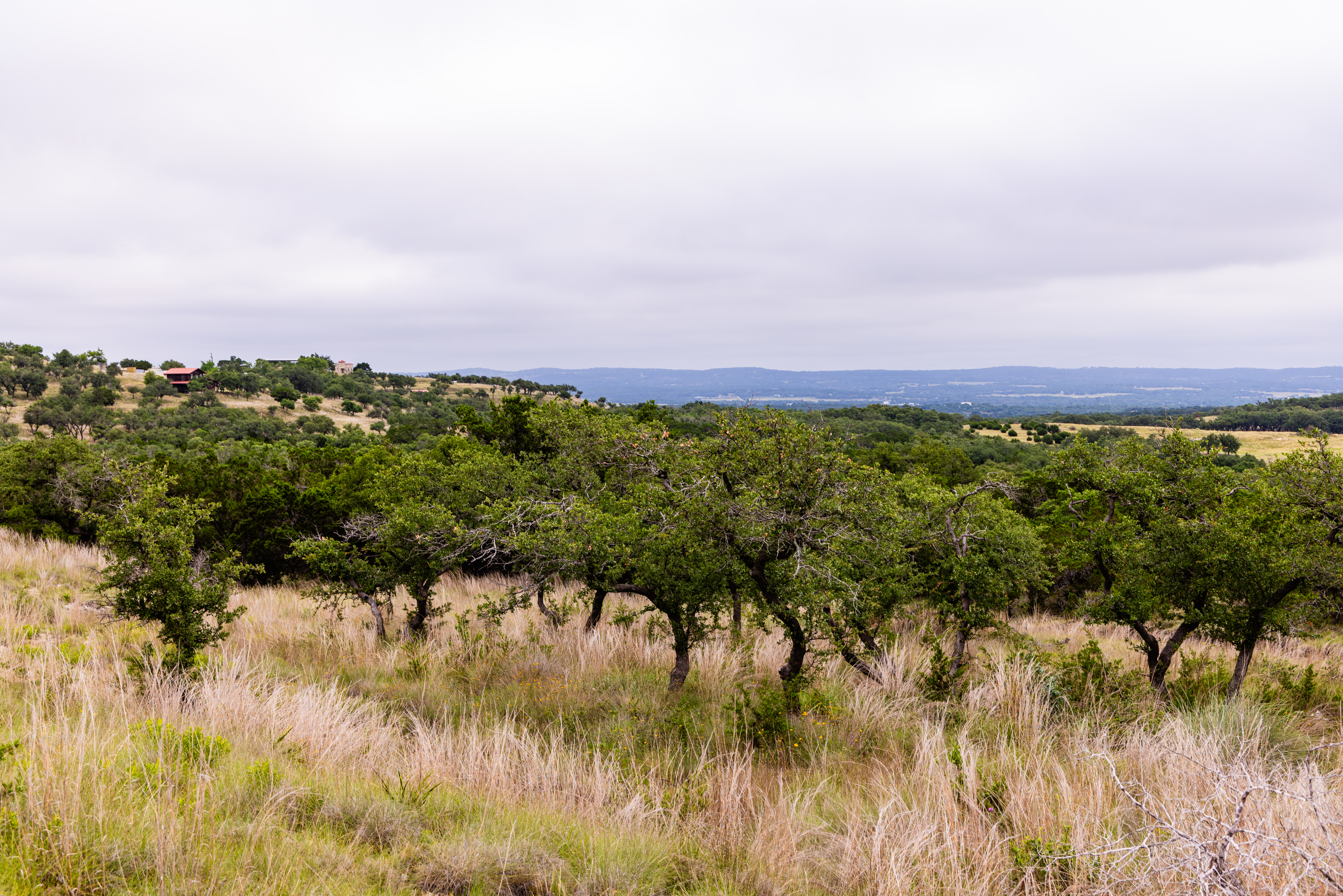  Expansive 10-Acre Lot - 物件實景