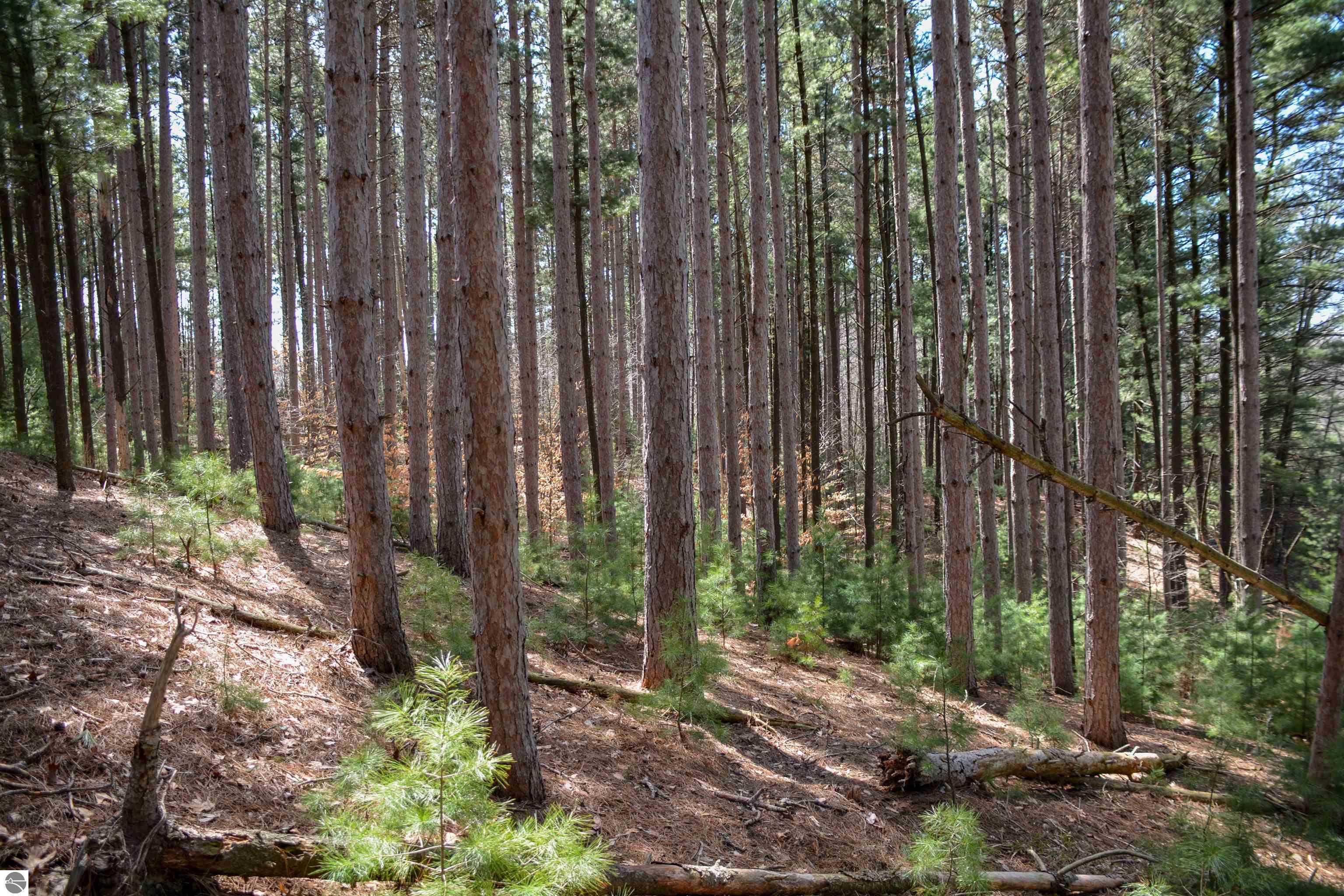 Traverse City, Michigan, 49696, United States, ,Land,For Sale,1850292