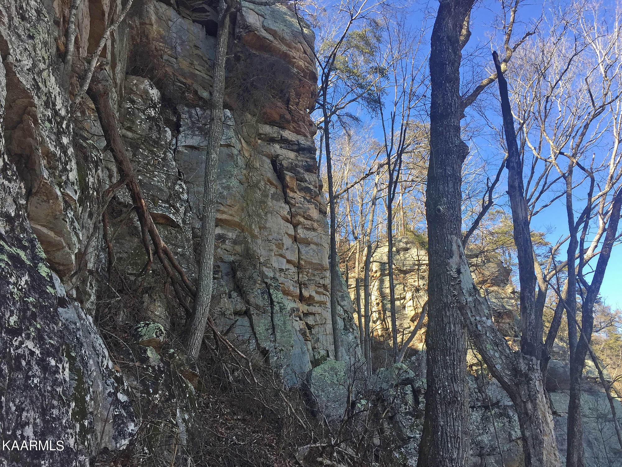 Pikeville, Tennessee, 37367, United States, ,Residential,For Sale,1943070