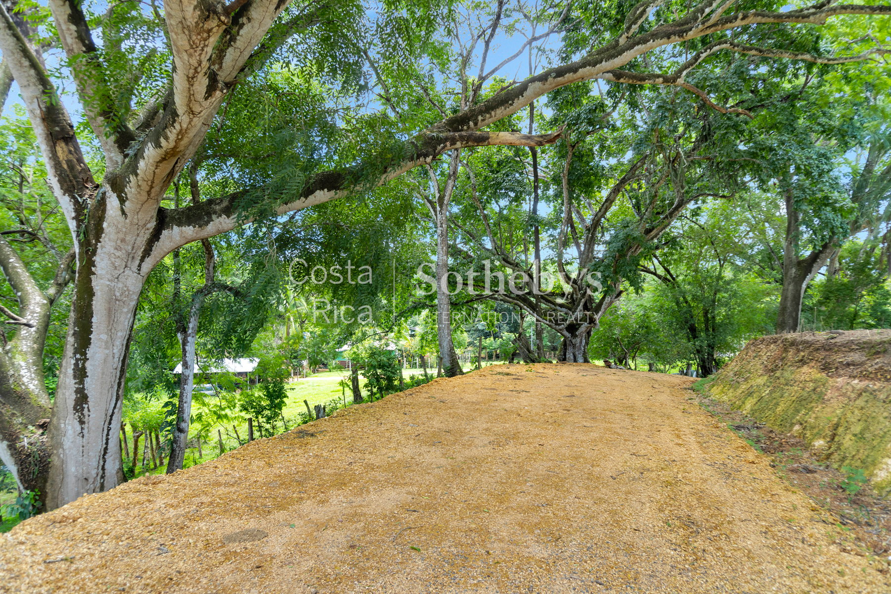  Vistamar Esparza Development Land - 物件實景
