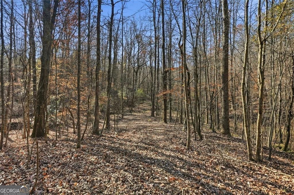 Jasper, Georgia, 30143, United States, ,Land,For Sale,1996551