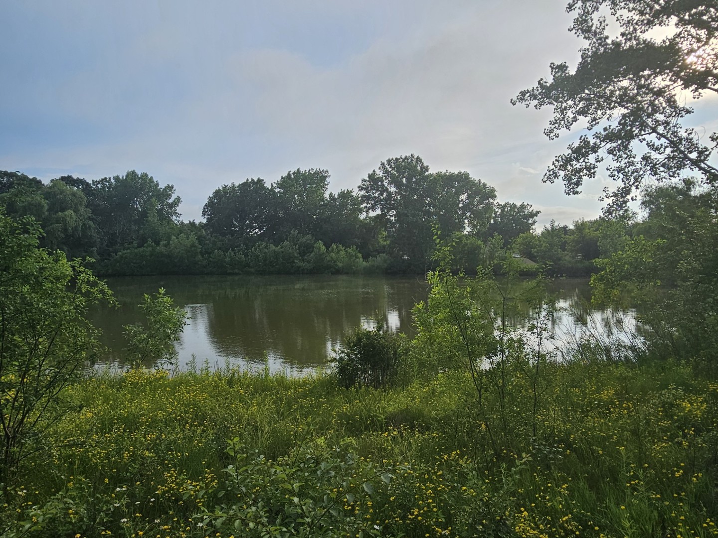 Green Oaks, Illinois, 60048, United States, ,Land,For Sale,1980165