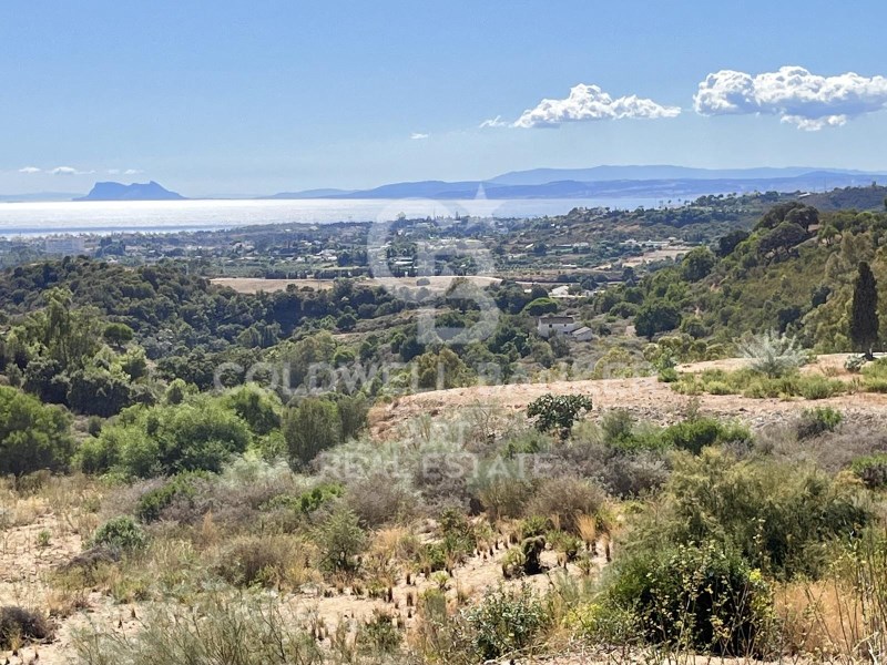 Estepona, Andalusia, ES, ,Residential,For Sale,1779639