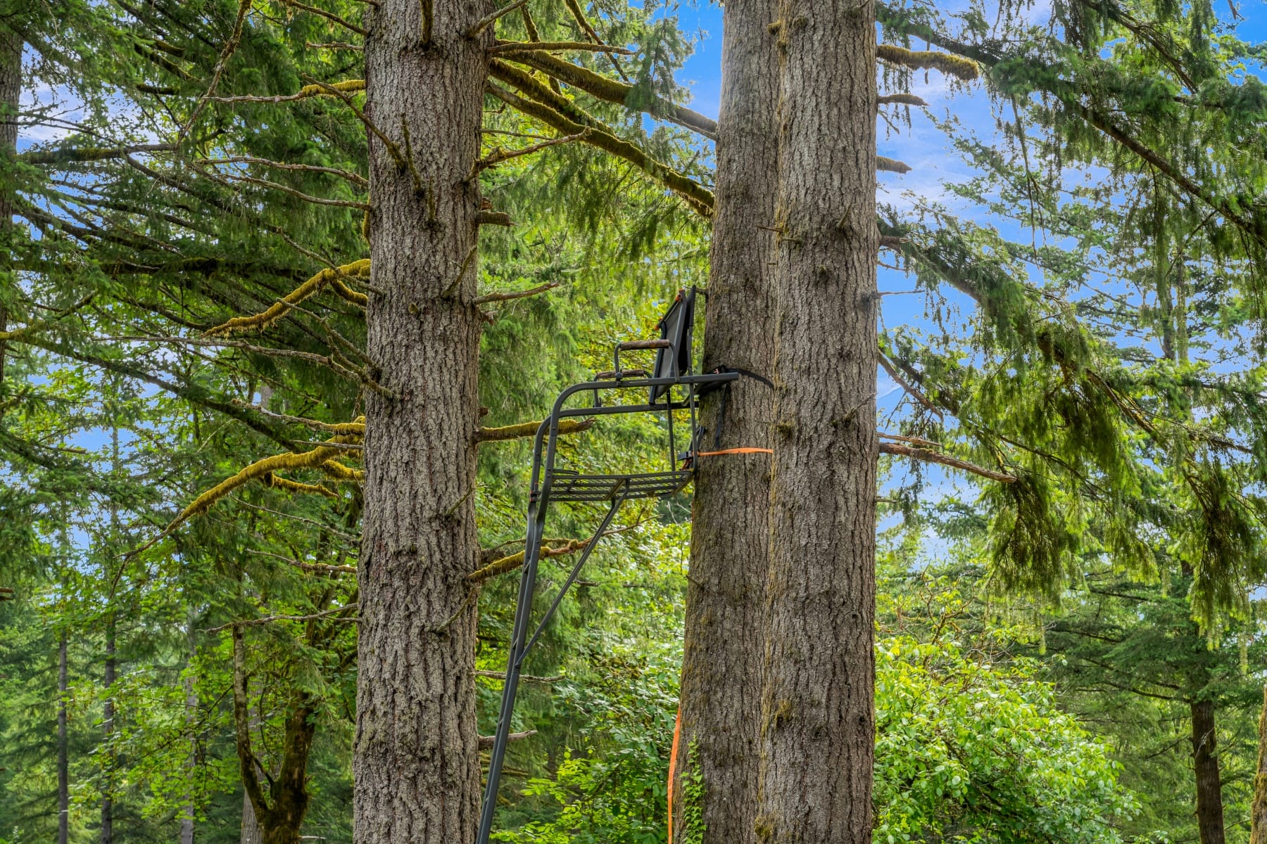  3832 NE CAVITT RD Camas, WA 98607 - 物件實景