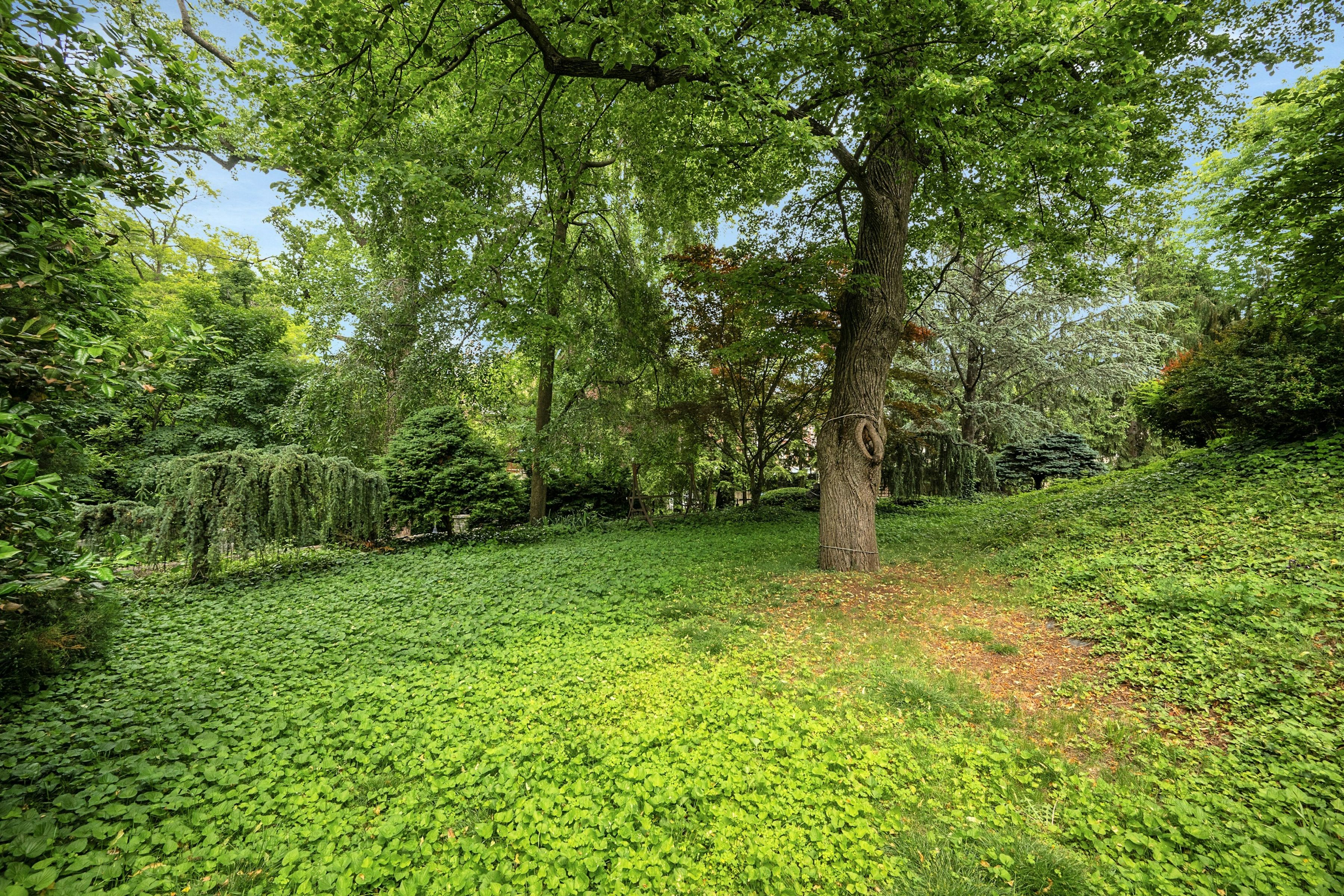  5440 Independence Avenue - 物件實景