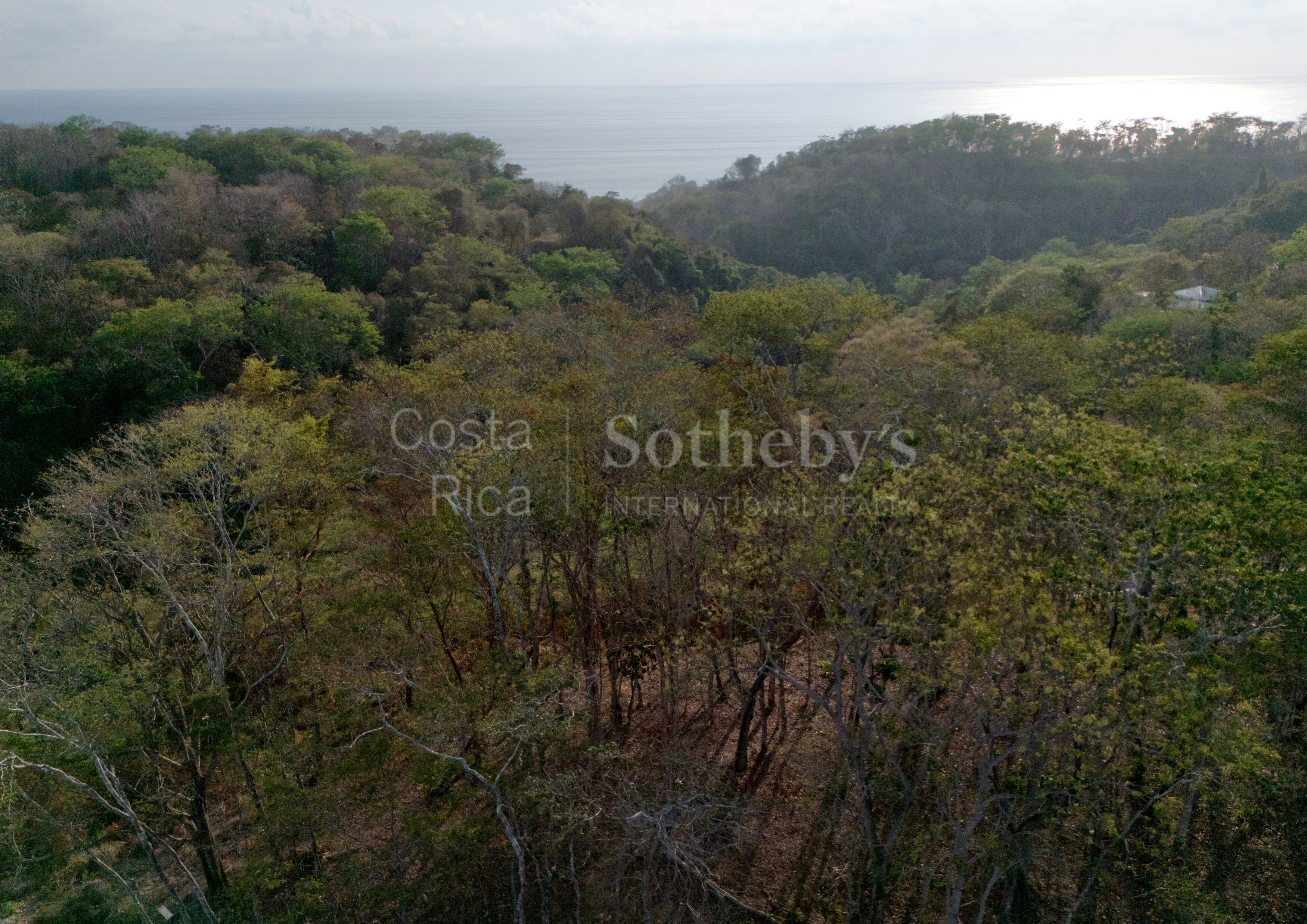  Idyllic Ocean View Lot in the Hills of Hermosa - 物件實景