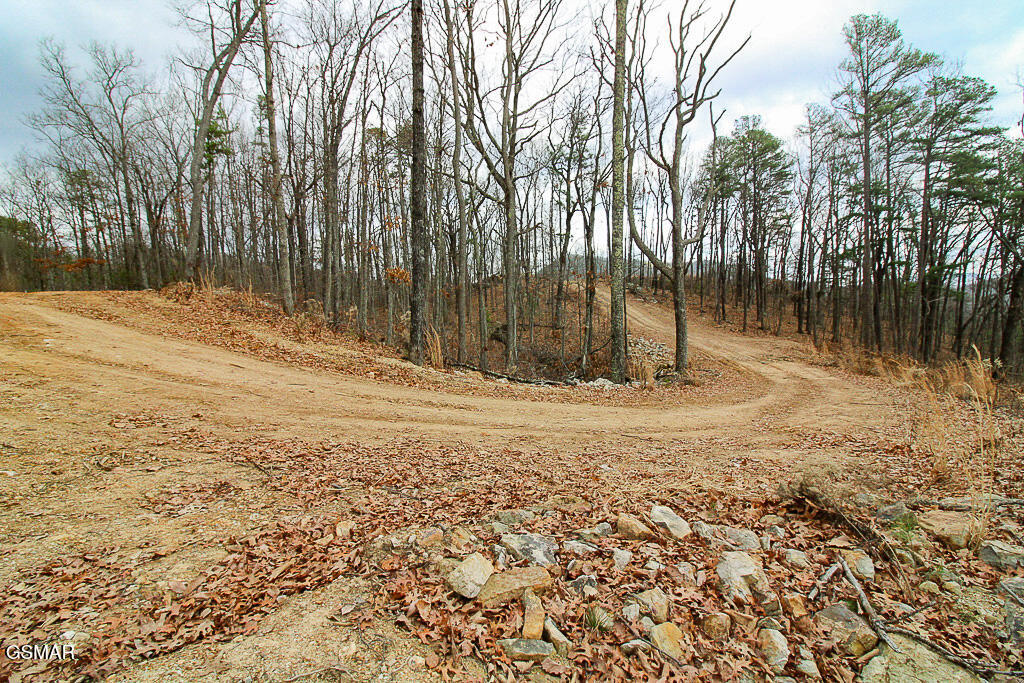 Sevierville, Tennessee, 37876, United States, ,Land,For Sale,2008093