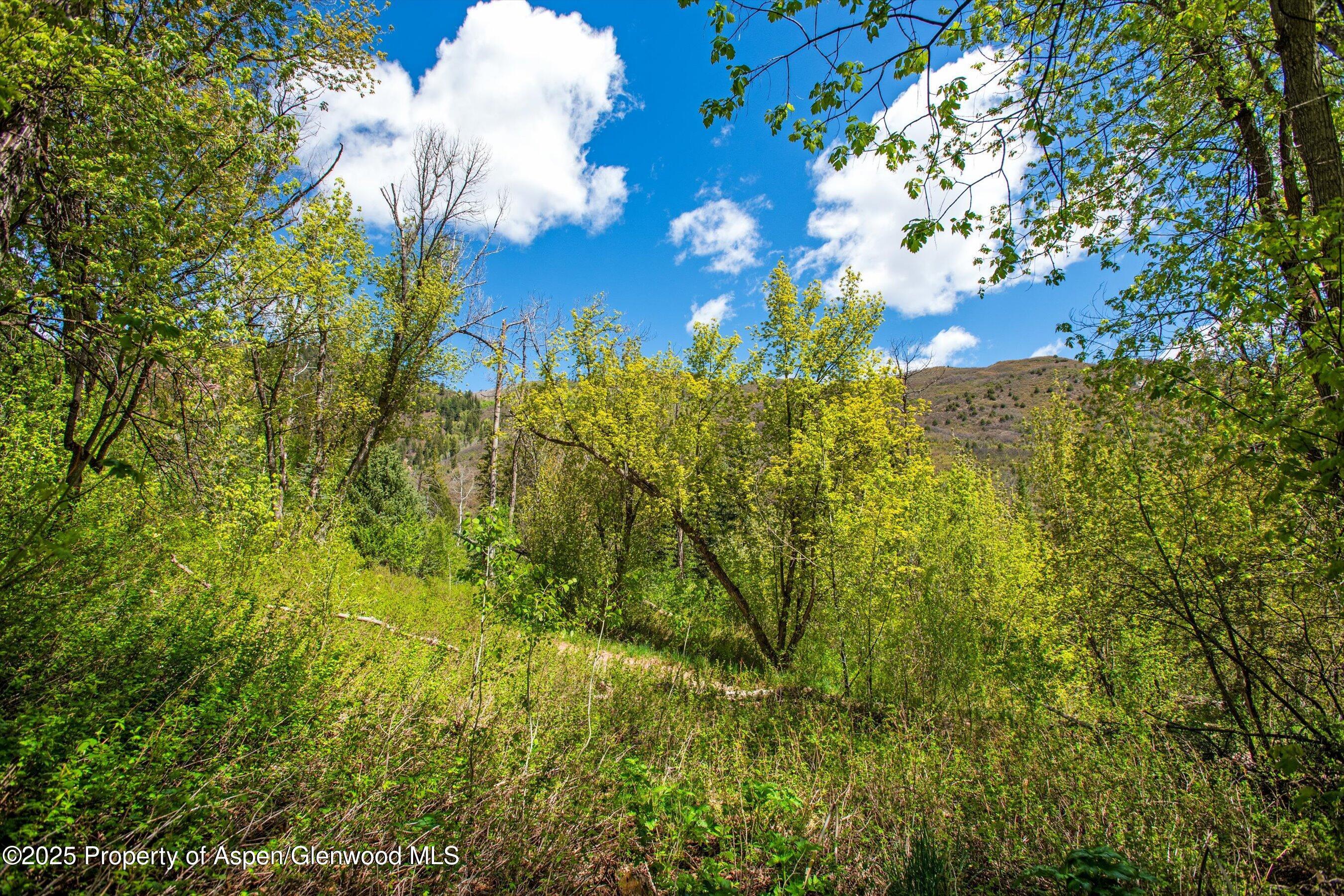 Redstone, Colorado, 81623, United States, ,Residential,For Sale,1838279