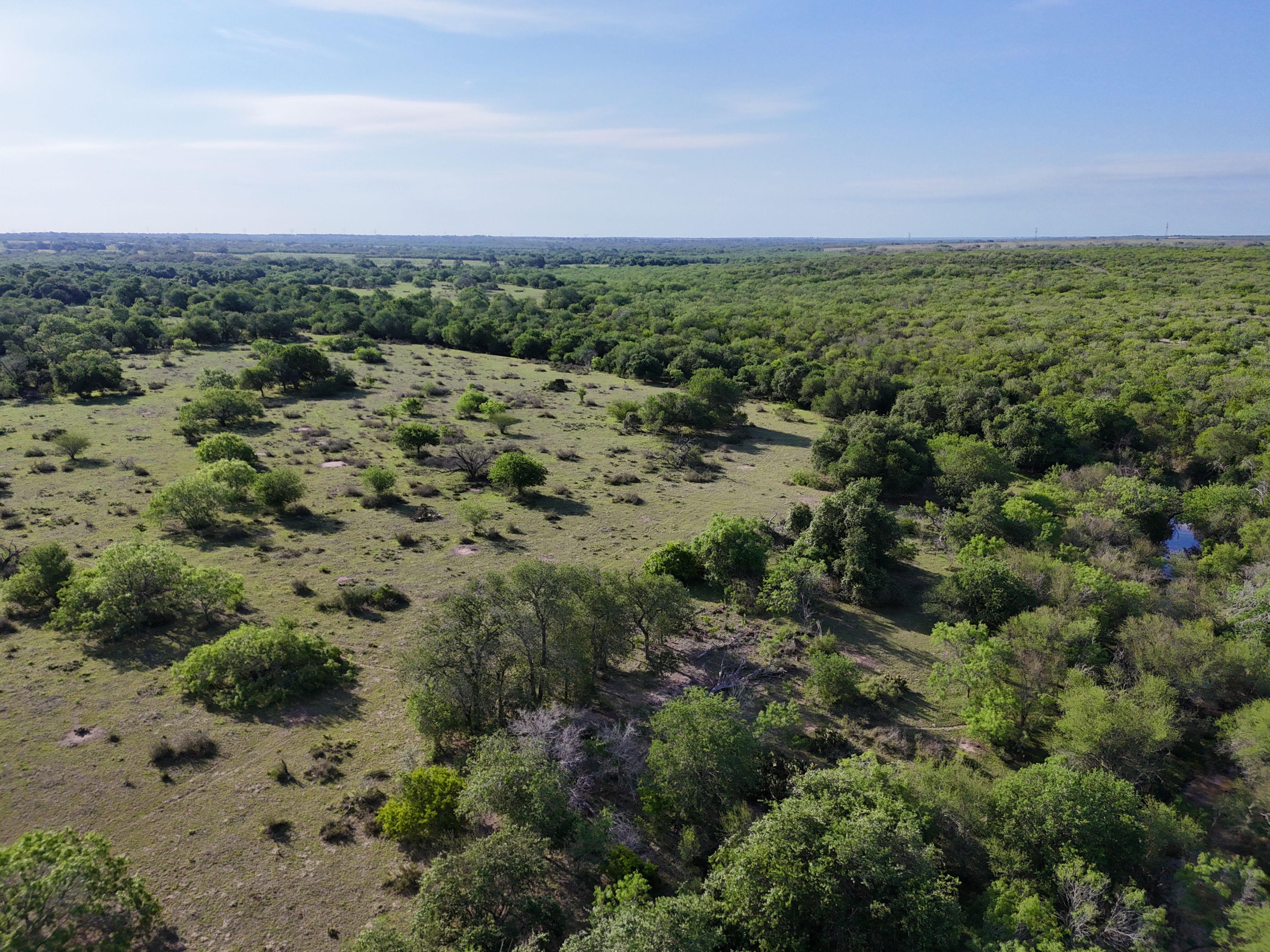 810+/- Acre Cabeza Creek Ranch - 物件實景