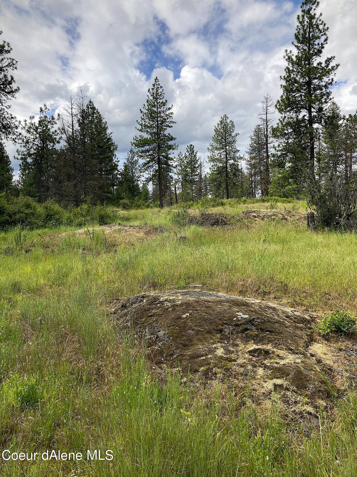 85 S Millview Lane, Coeur d'Alene, Idaho, 83814, United States, ,Residential,For Sale,85 S Millview Lane,1476039