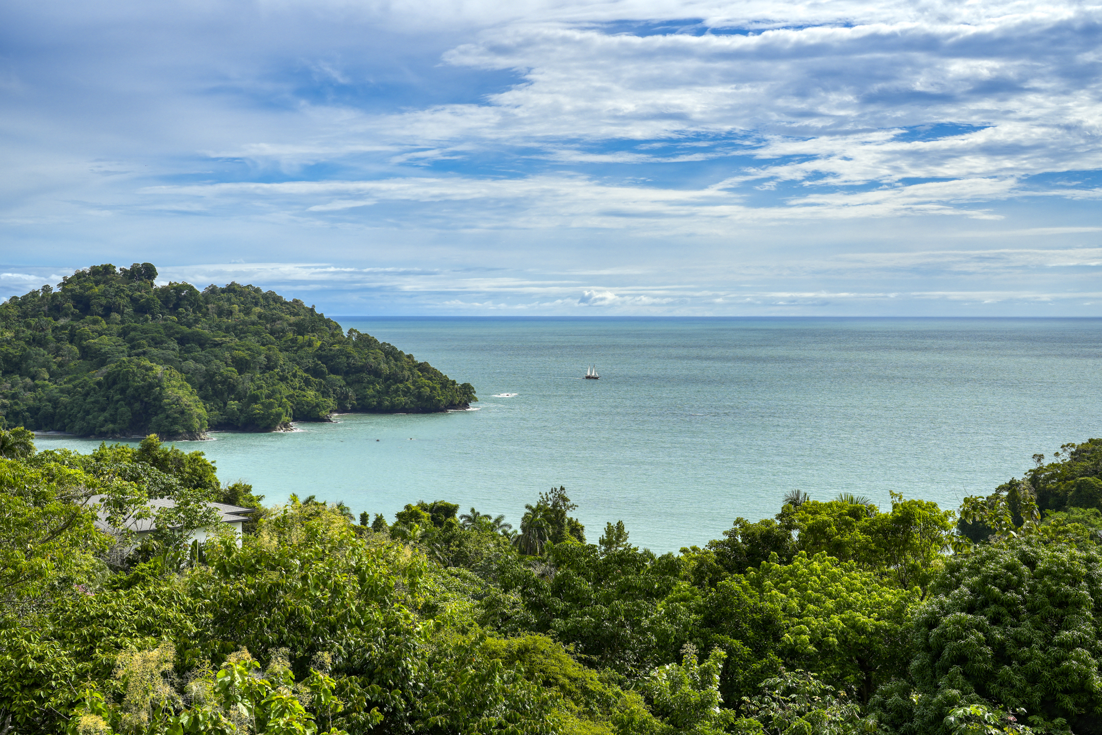 Manuel Antonio, Puntarenas, CR, 4 Bedrooms Bedrooms, ,6 BathroomsBathrooms,Residential,For Sale,1877322