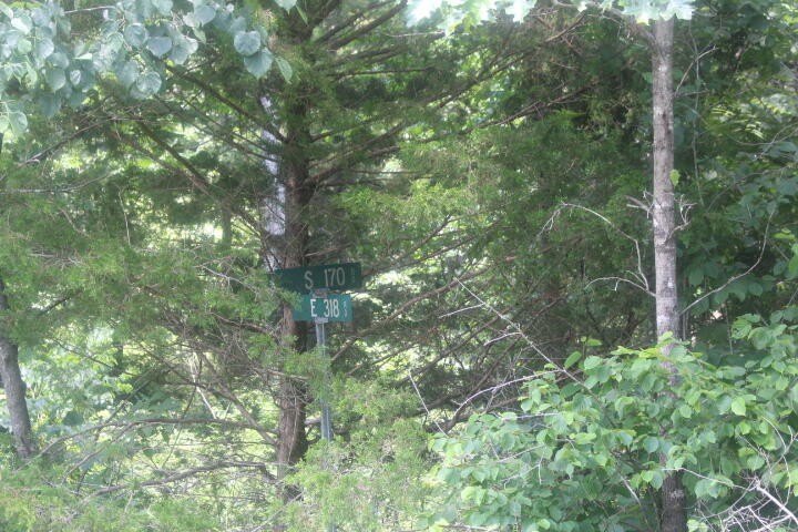 Polk, Missouri, 65727, United States, ,Land,For Sale,1980569