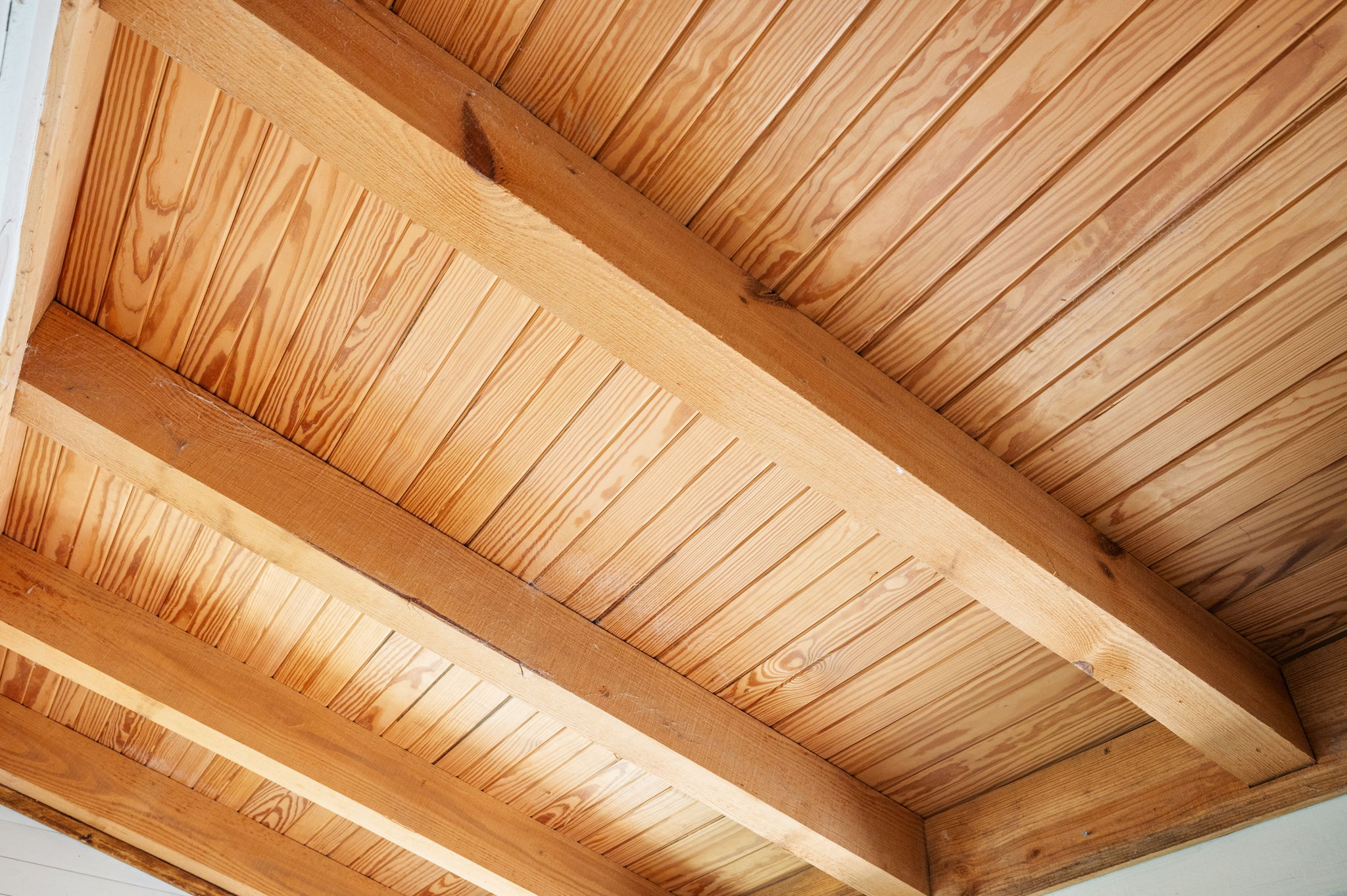  Southern Charm in Madison - 物件實景