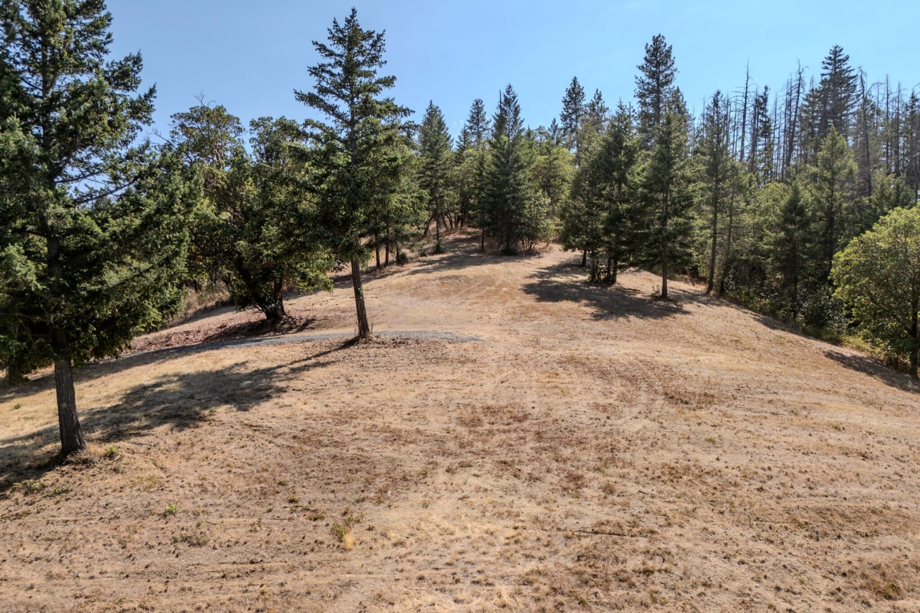  3587 S Stage Road #Lot 11 Medford, OR 97501 - 物件實景