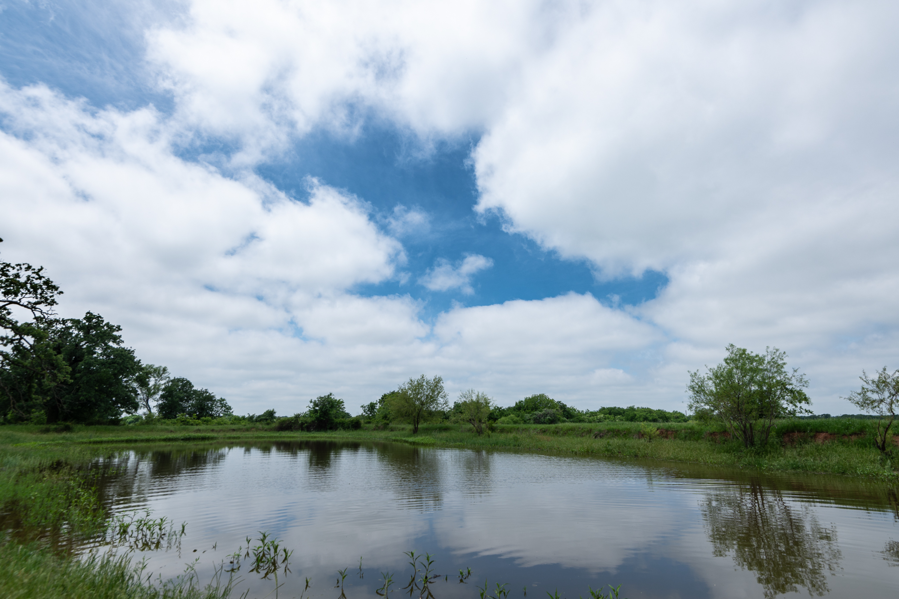  Rolling Oaks Ranch - 物件實景