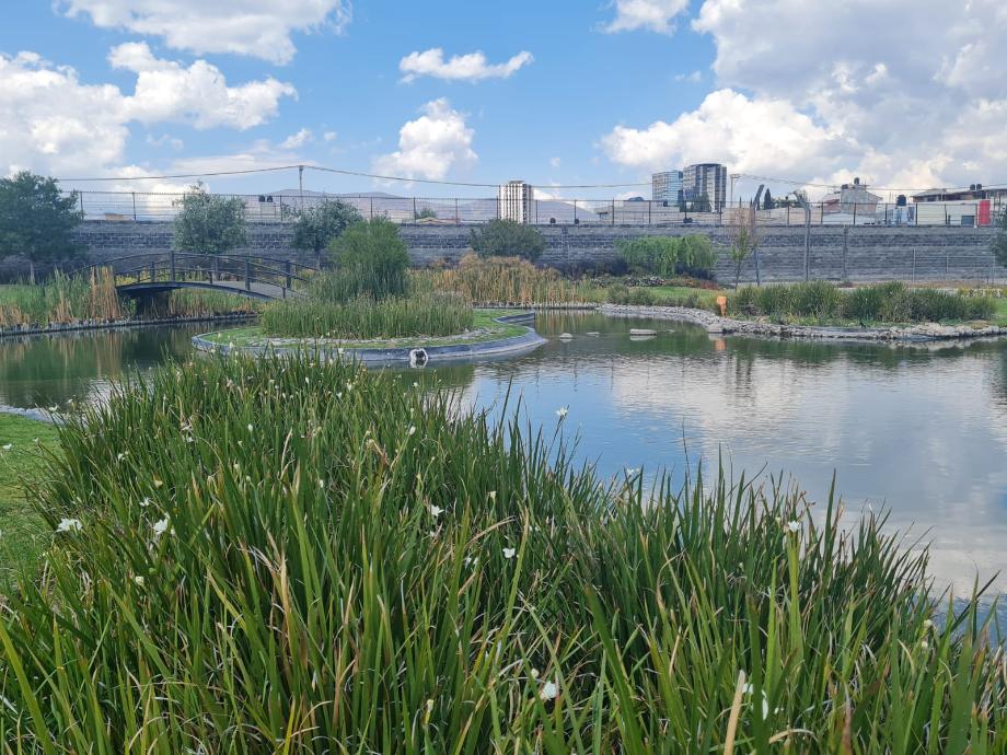 Boulevard G Bonfil, Pachuca de Soto, Hidalgo, 42084, Mexico, 1 Bedroom Bedrooms, ,Residential,For Sale,Boulevard G Bonfil,1671994