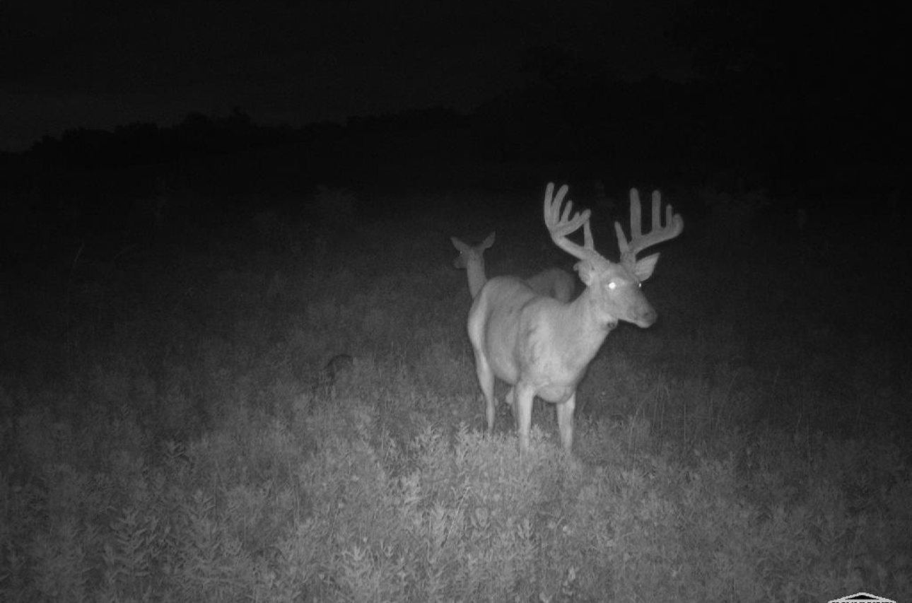 Kirksville, Missouri, 63501, United States, ,Land,For Sale,2006170