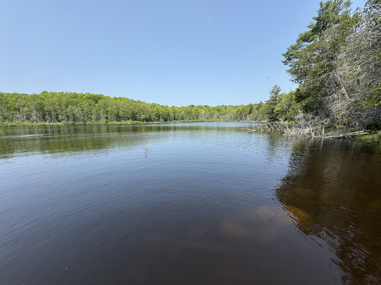Oma, Wisconsin, 54534, United States, ,Residential,For Sale,1920346