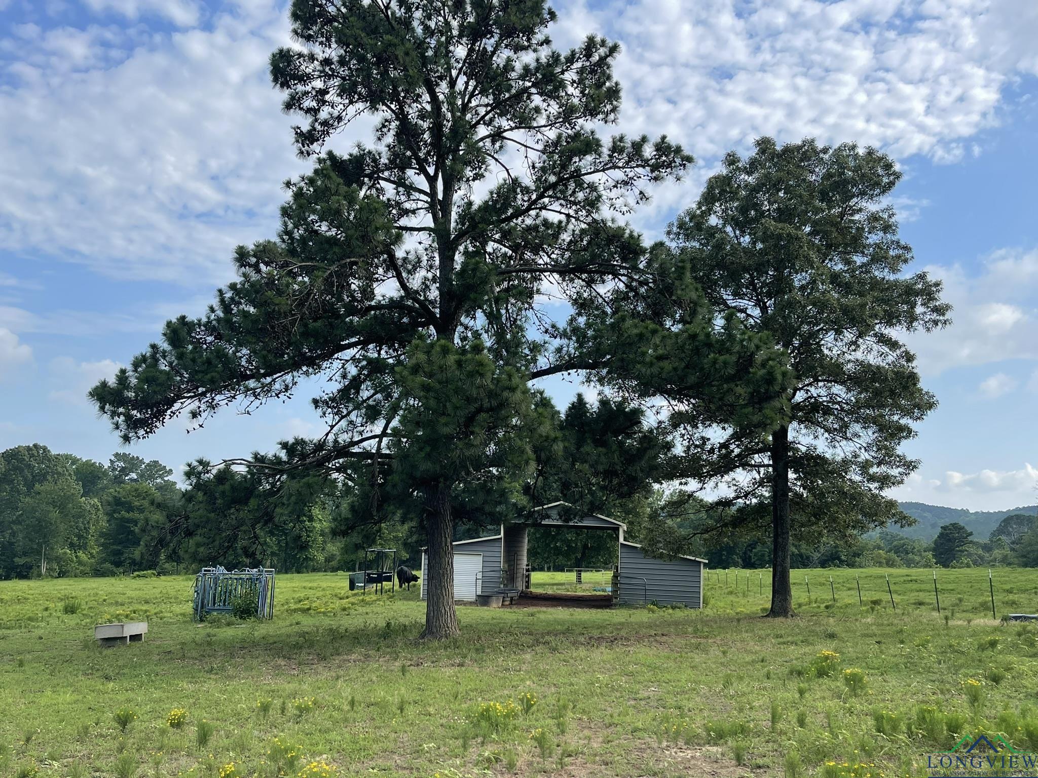 Gilmer, Texas, 75644, United States, 3 Bedrooms Bedrooms, ,2 BathroomsBathrooms,Residential,For Sale,1847700