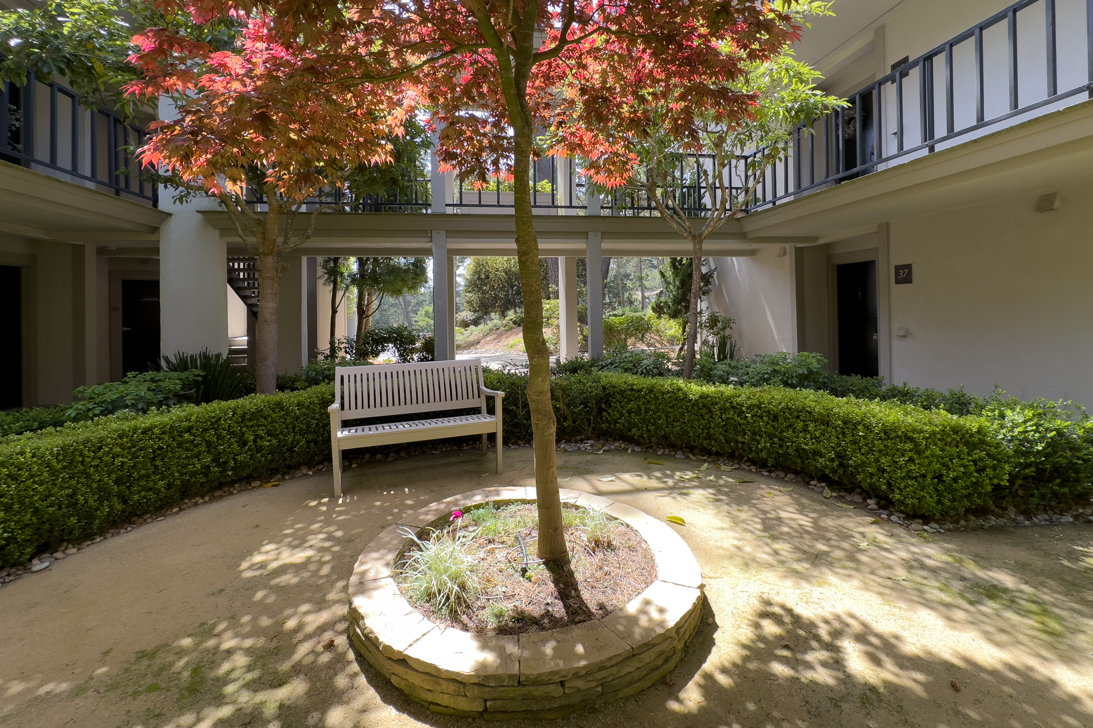  37 Ocean Pines Lane, Pebble Beach - 物件實景