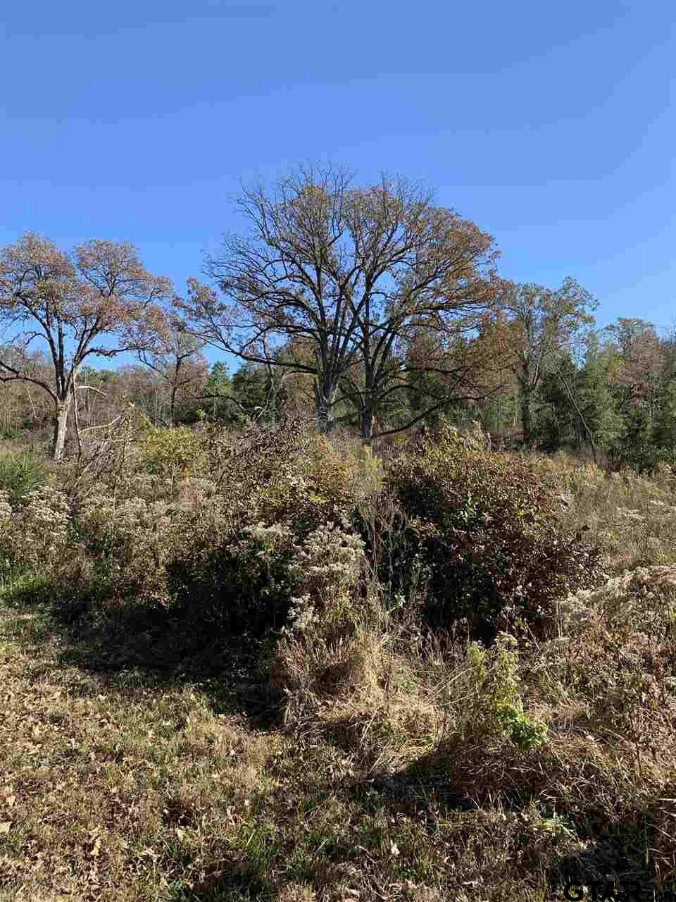 TBD CR 463 & I20, Lindale, Texas, 75771, United States, ,Land,For Sale,TBD CR 463 & I20,1673593
