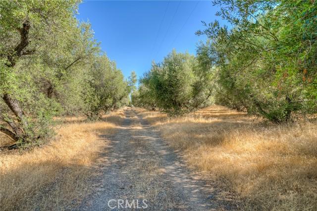 Oroville, California, 95965, United States, 2 Bedrooms Bedrooms, ,2 BathroomsBathrooms,Residential,For Sale,1978871